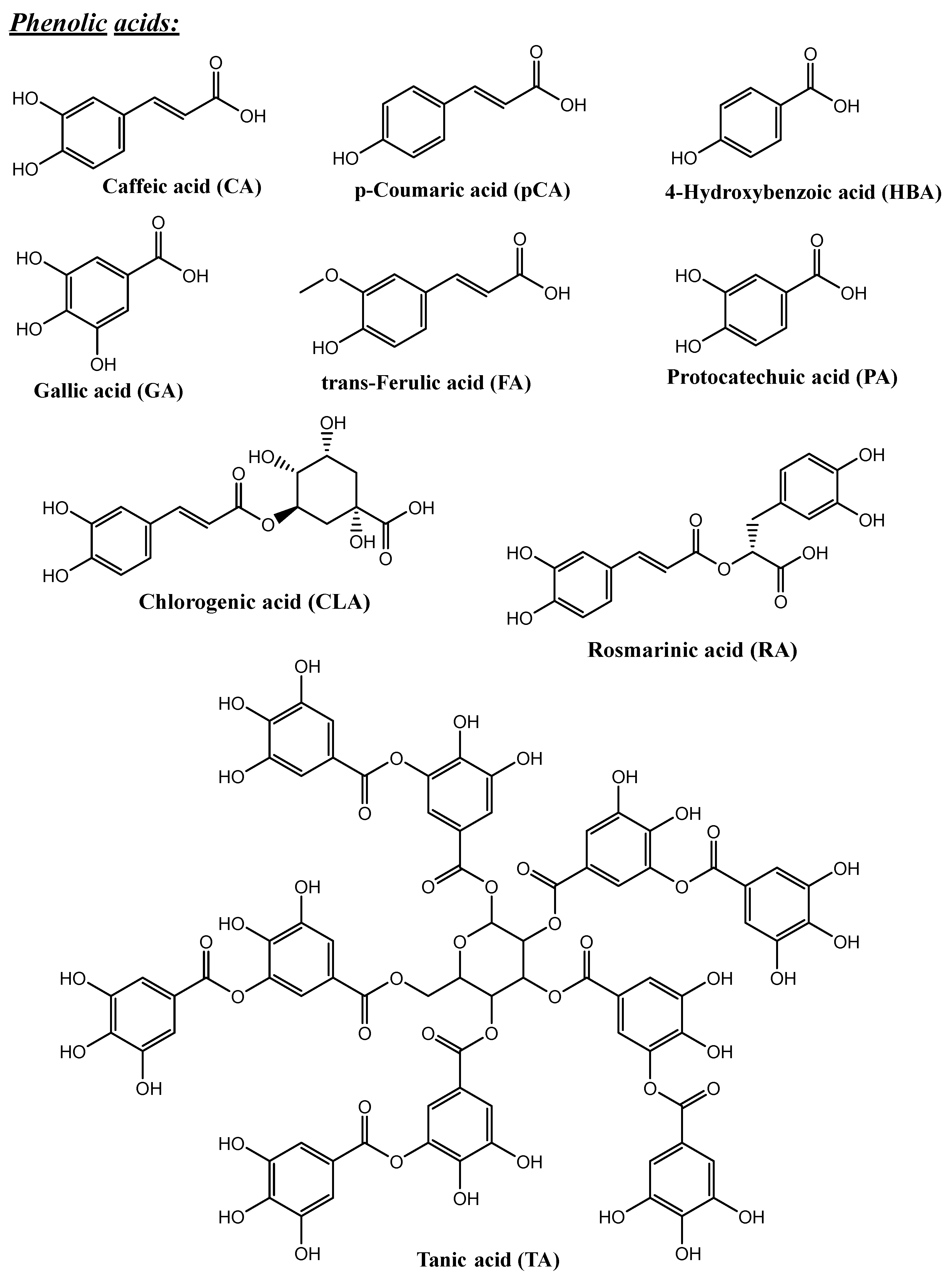 Pharmaceutics 16 01004 g003b Pharmaceutics 16 01004 g003b