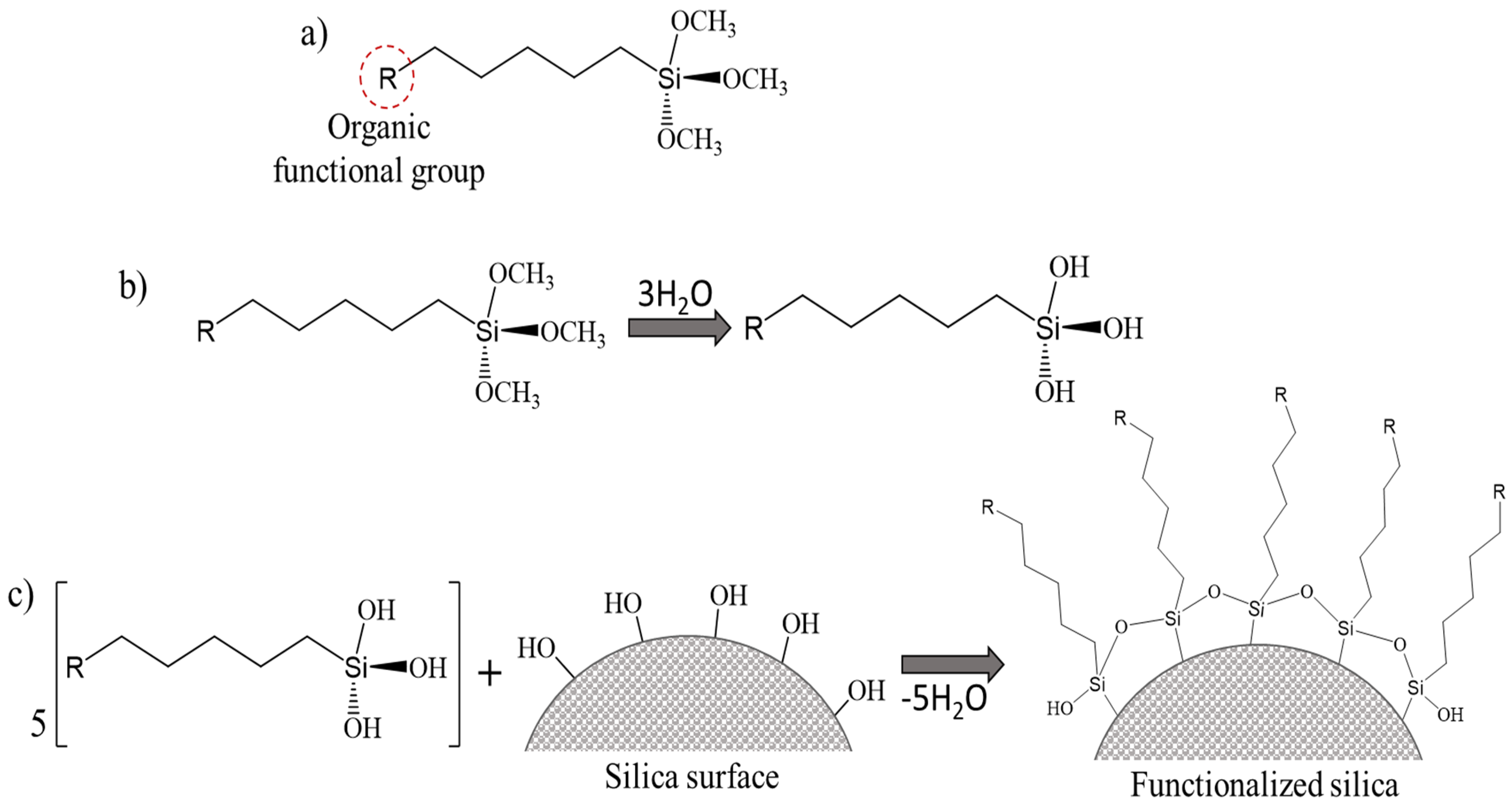 Pharmaceutics 16 01004 g005 Pharmaceutics 16 01004 g005