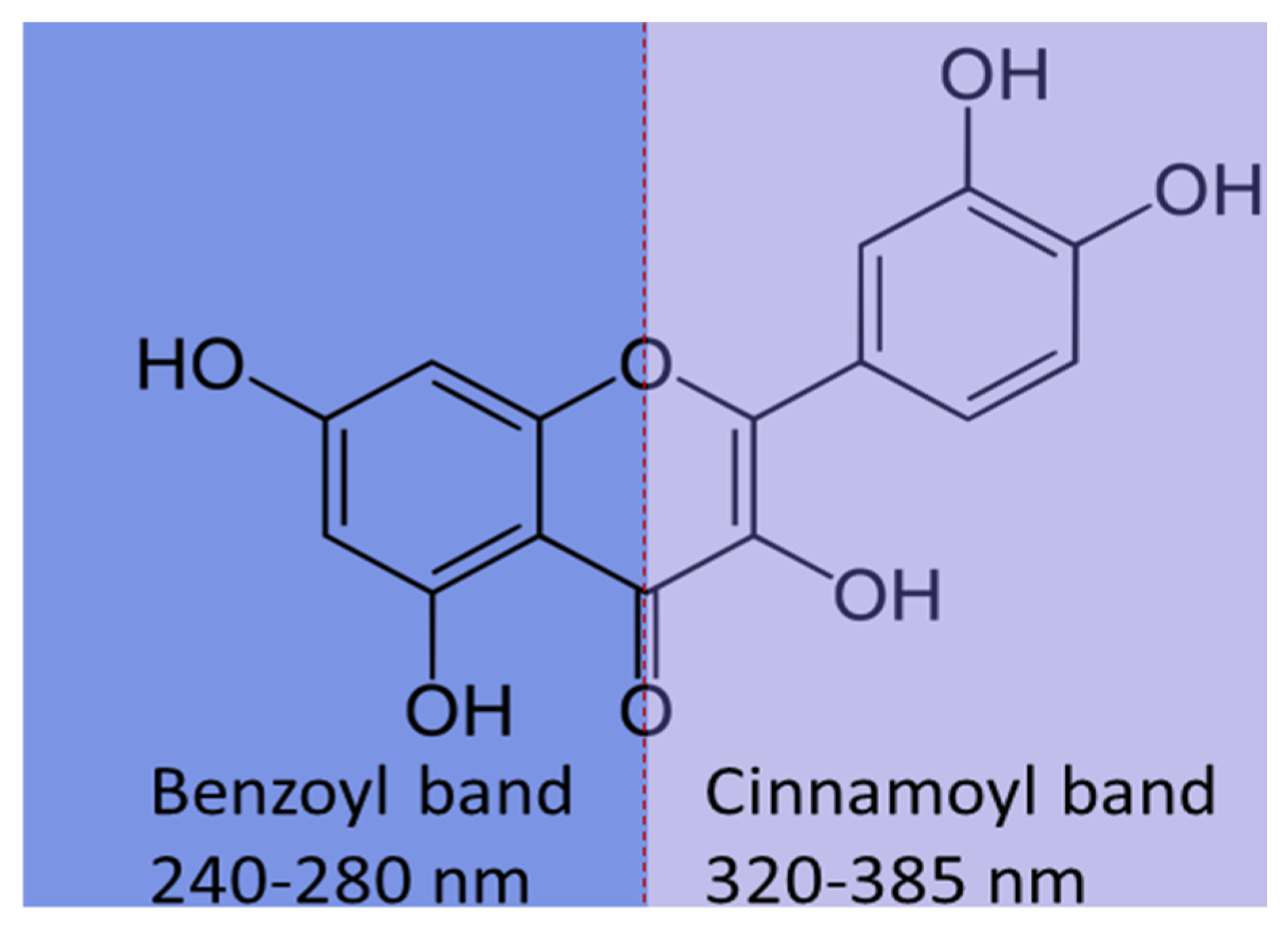 Pharmaceutics 16 01004 g009 Pharmaceutics 16 01004 g009