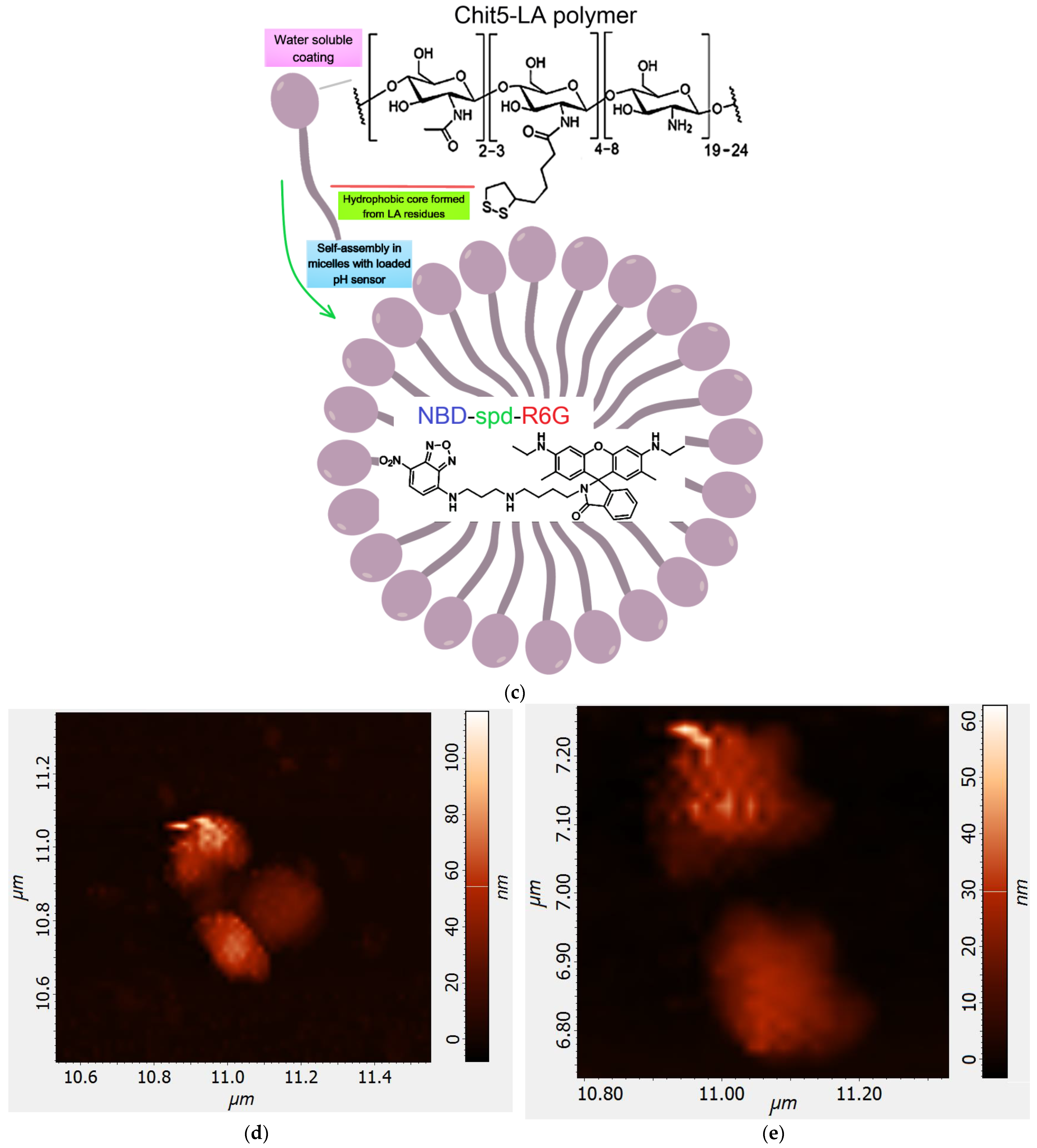 Pharmaceutics 16 01007 g004b