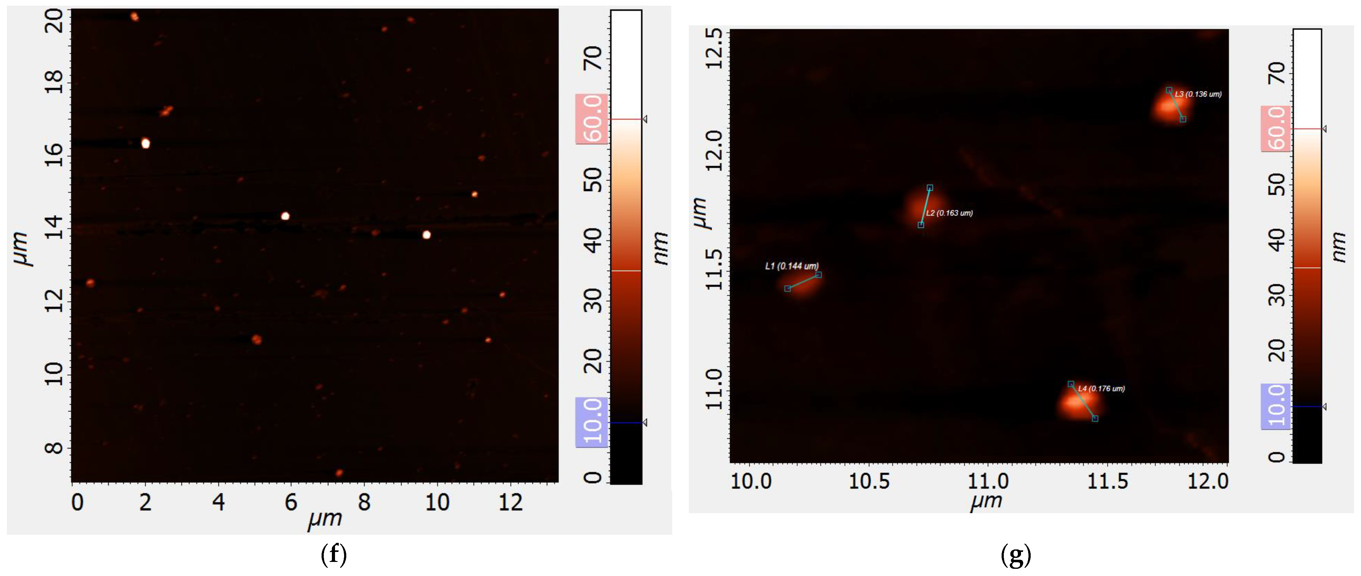 Pharmaceutics 16 01007 g004c