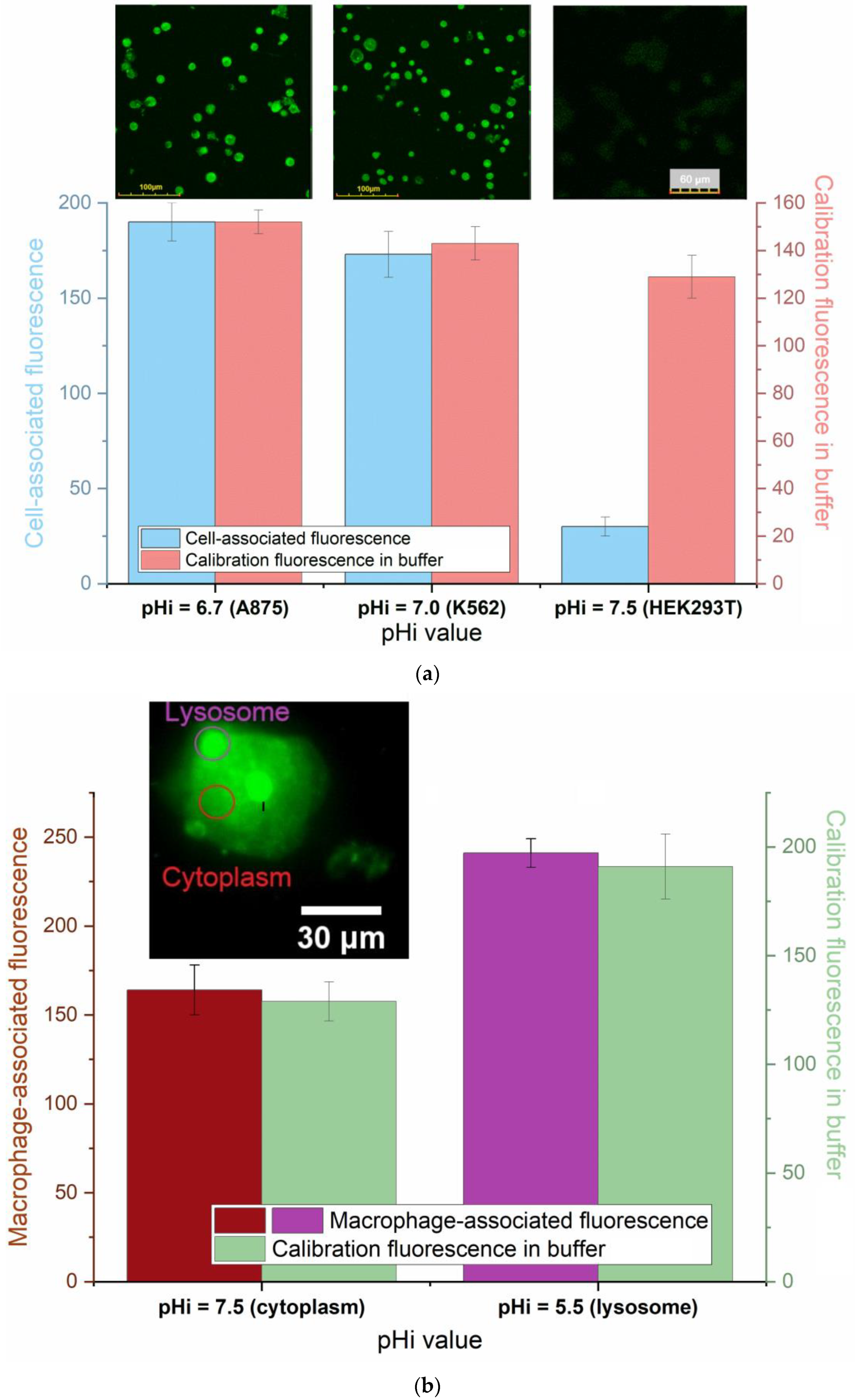 Pharmaceutics 16 01007 g007