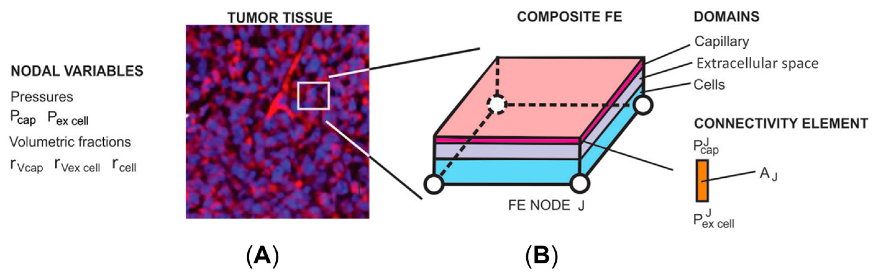 Pharmaceutics 16 01009 g001