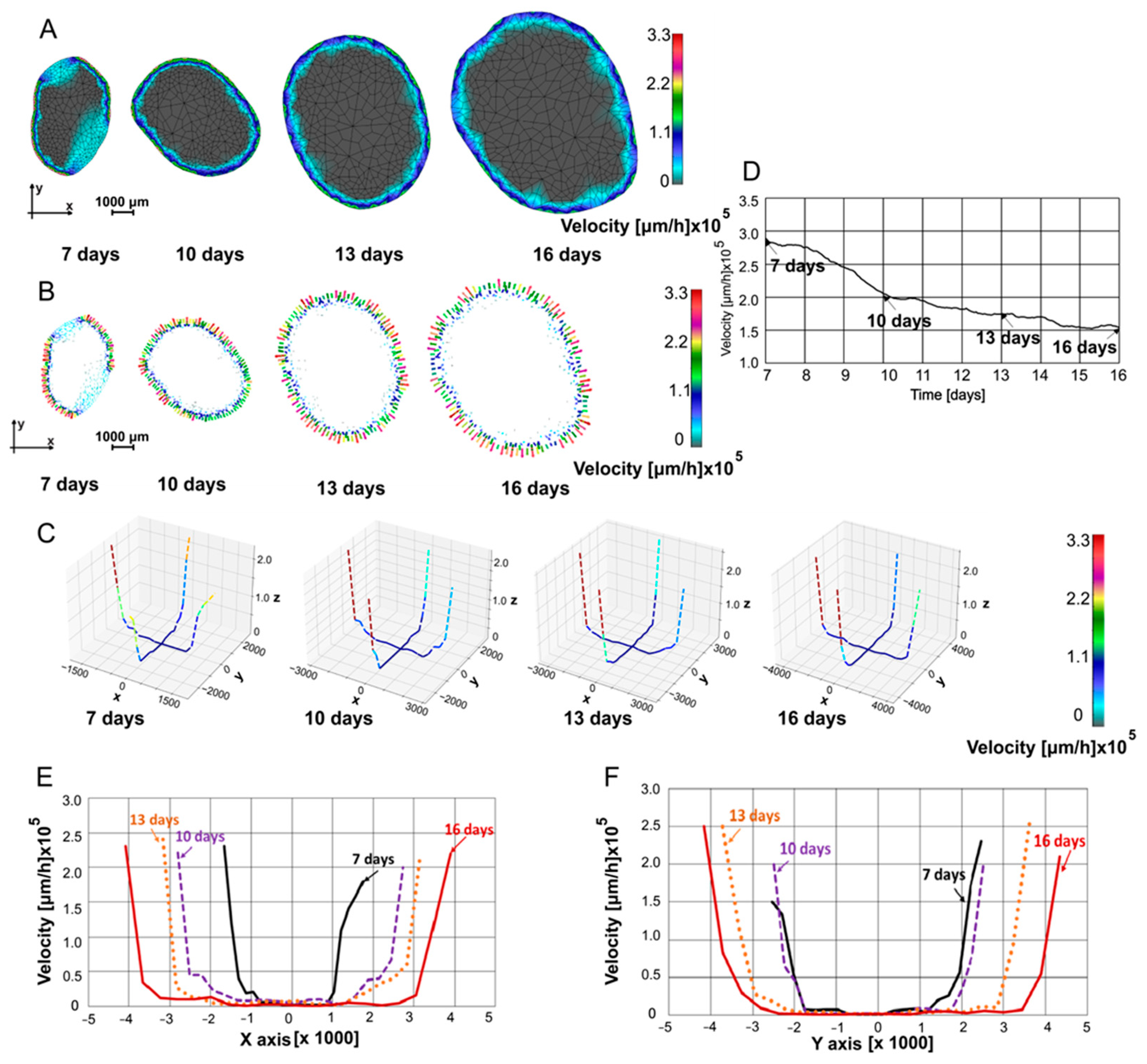 Pharmaceutics 16 01009 g005