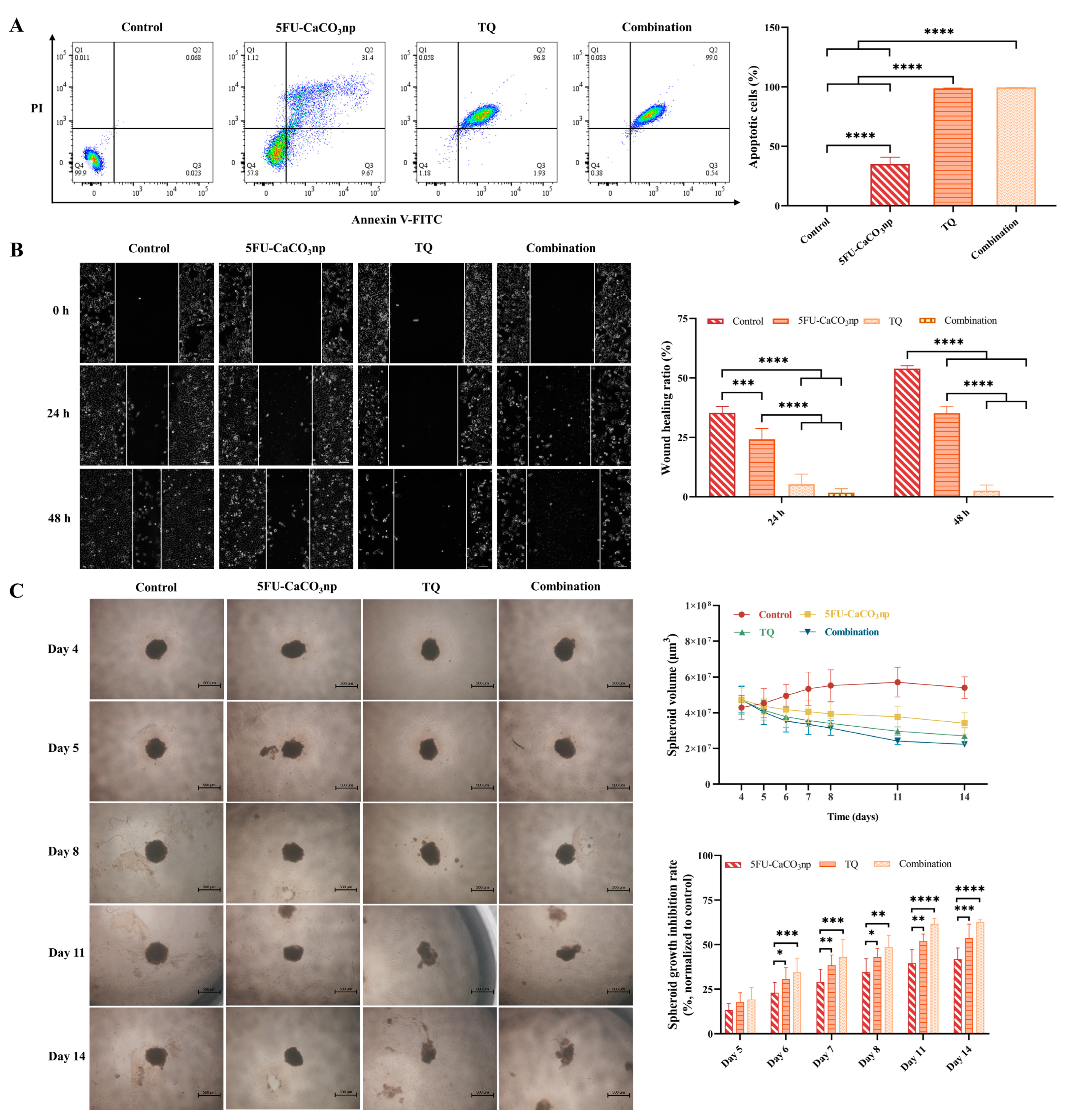 Pharmaceutics 16 01011 g005