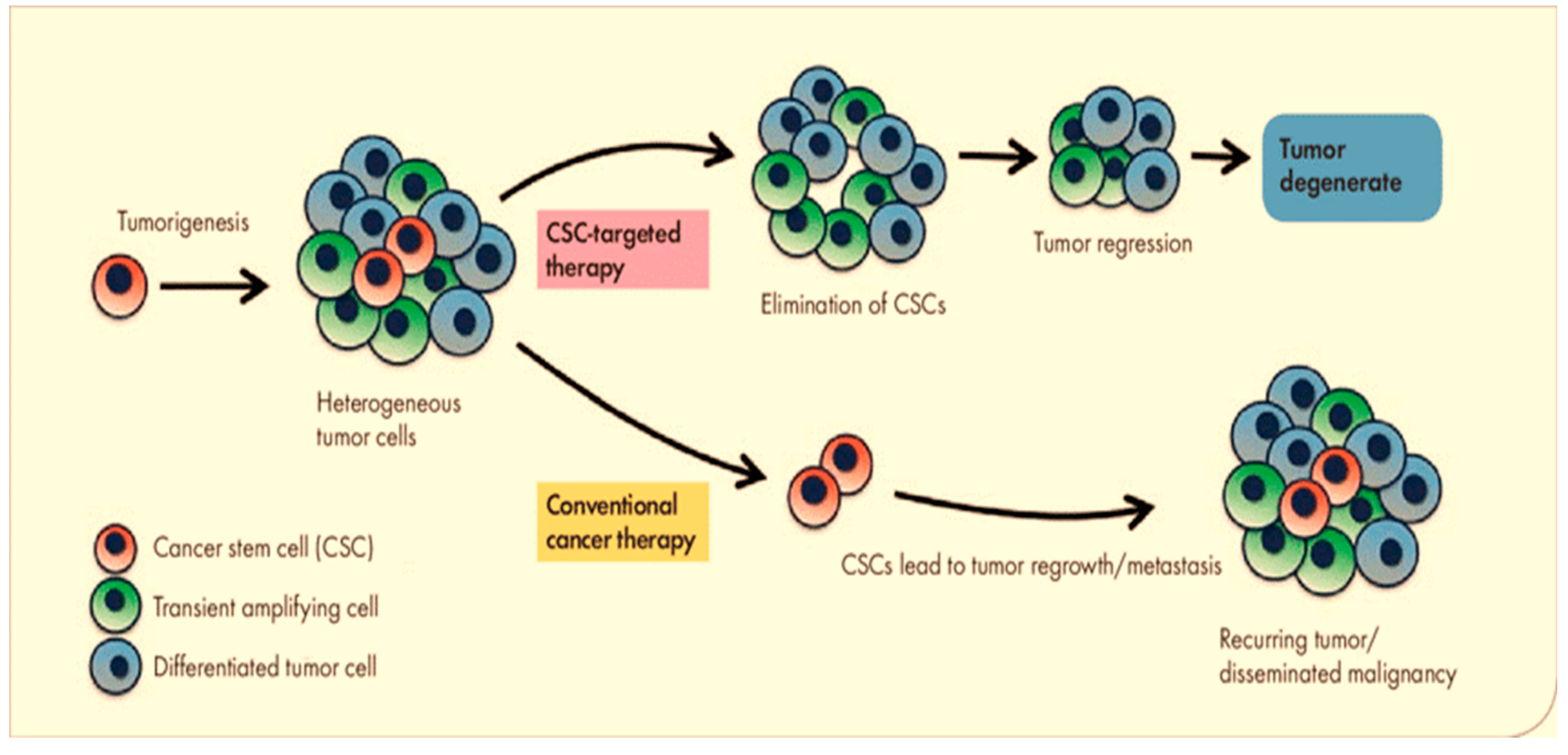 Pharmaceutics 16 01024 g001