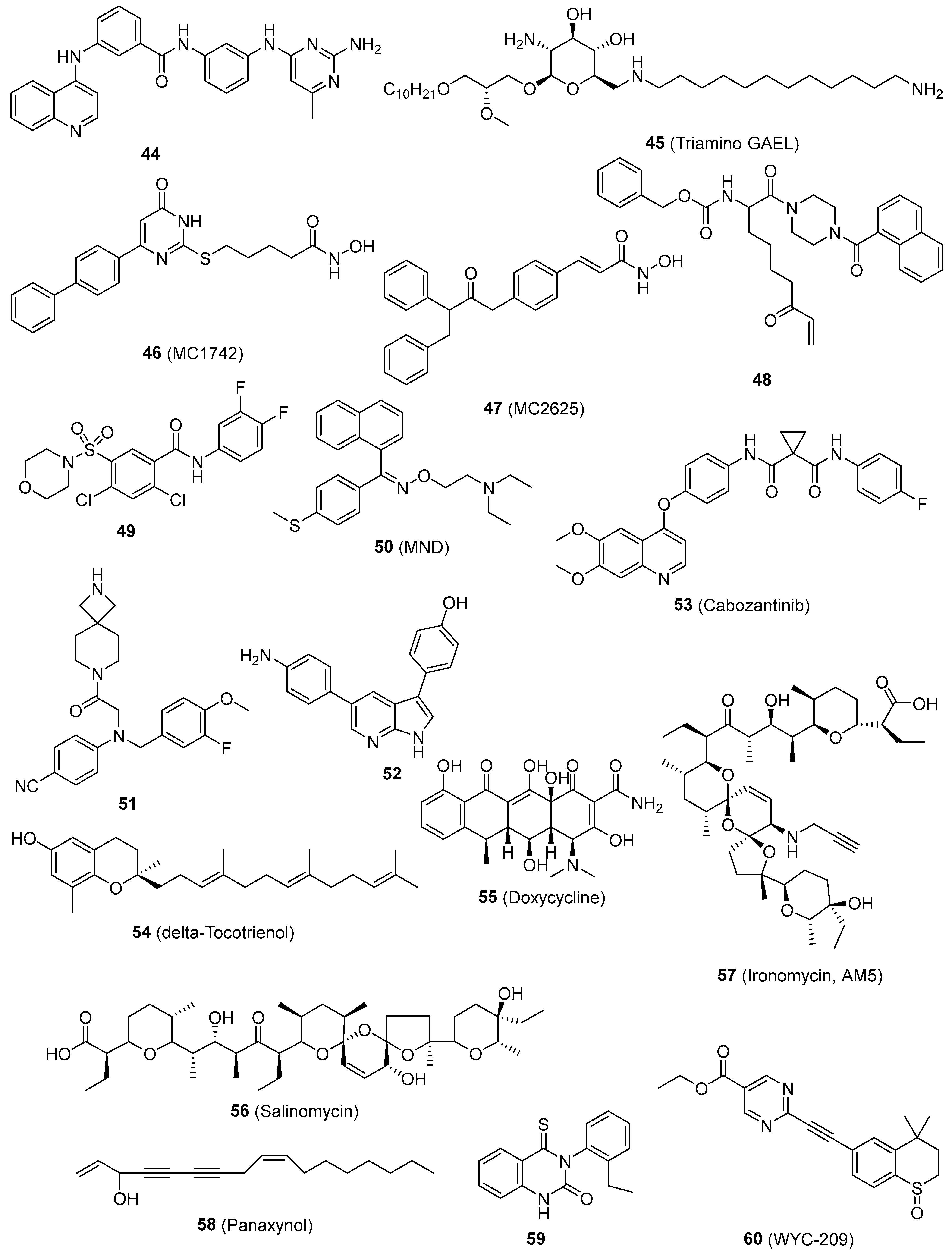 Pharmaceutics 16 01024 g004
