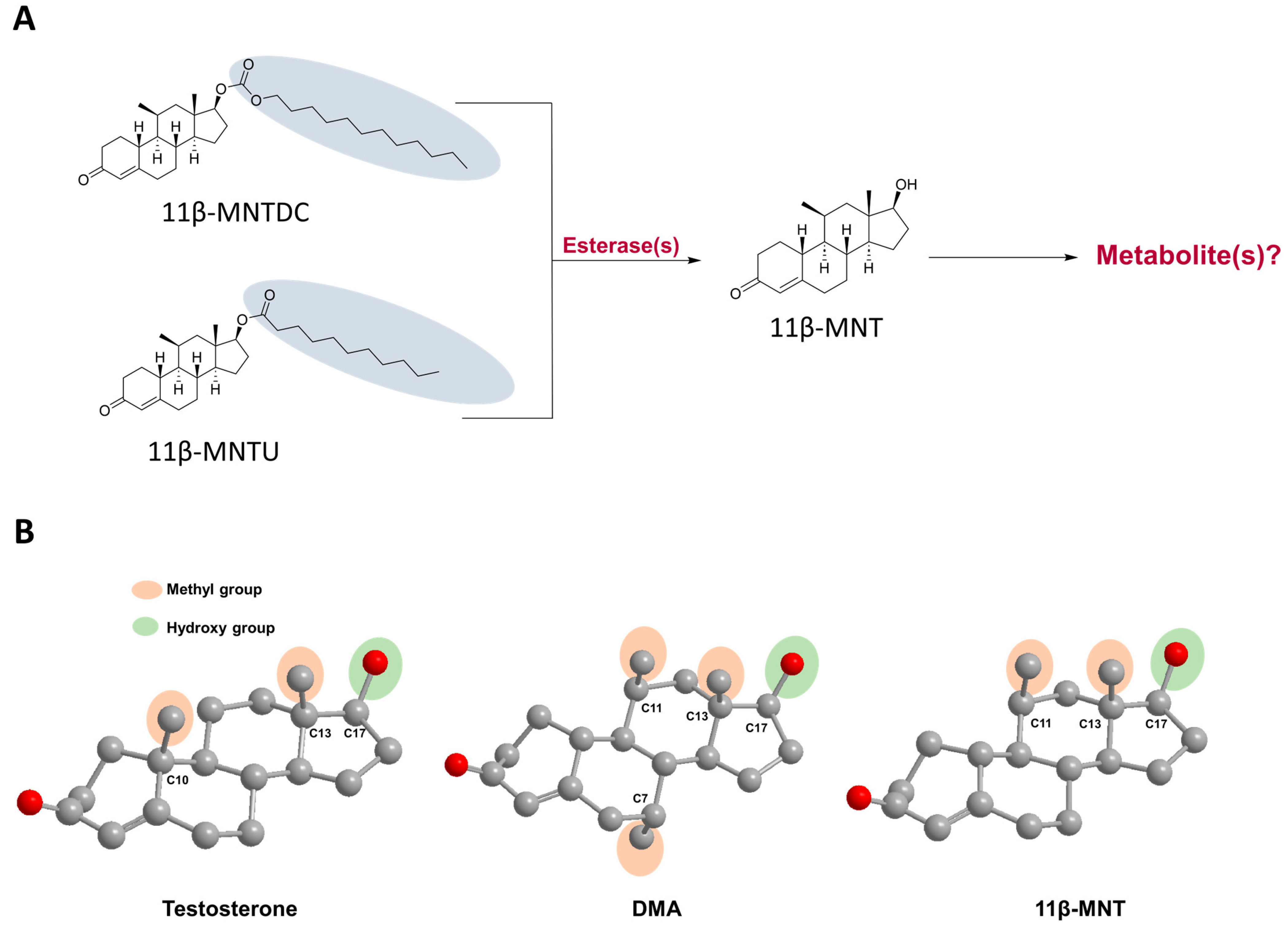 Pharmaceutics 16 01032 g001