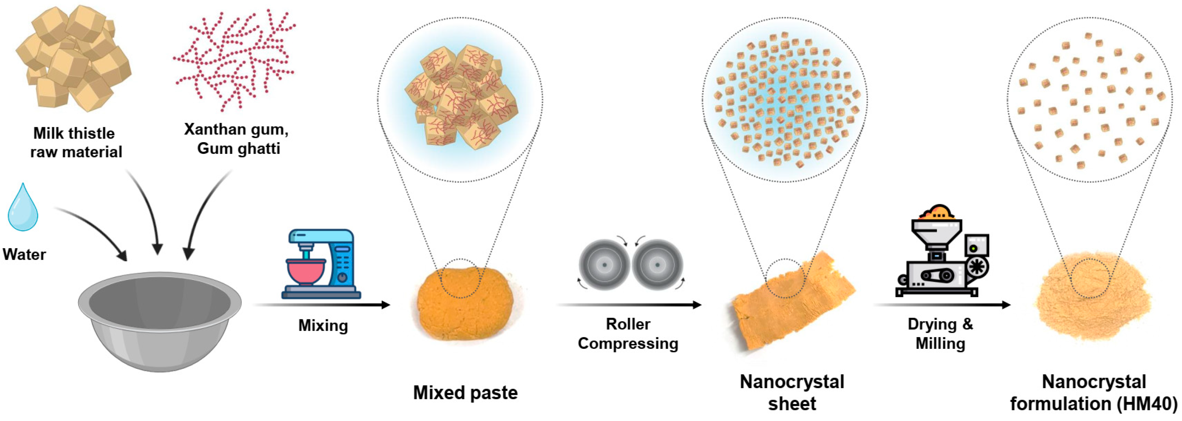 Pharmaceutics 16 01033 g001