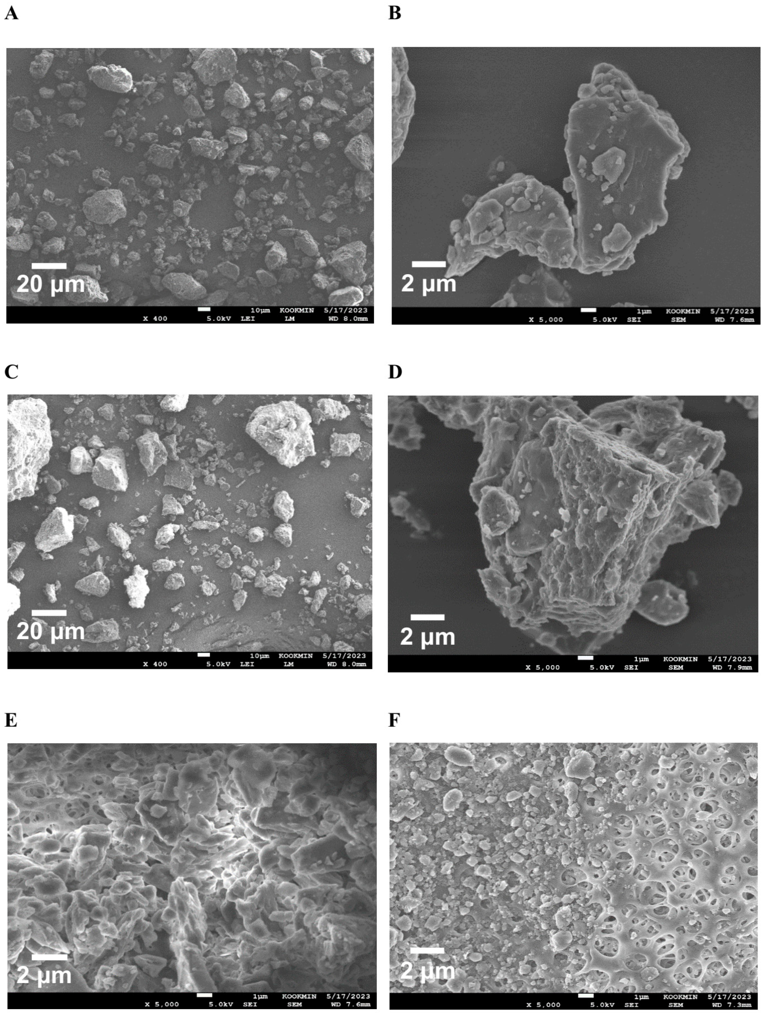 Pharmaceutics 16 01033 g002