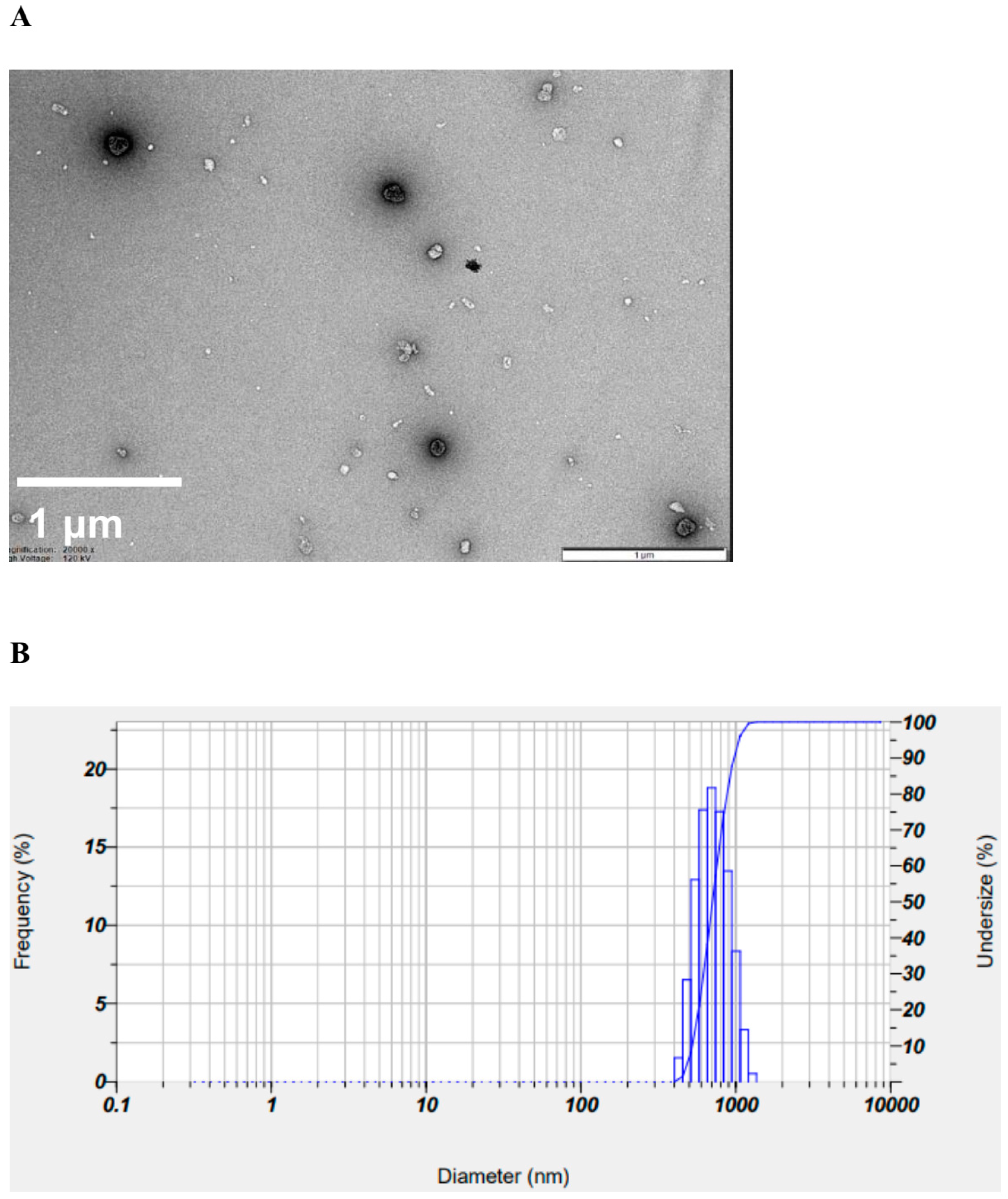 Pharmaceutics 16 01033 g003