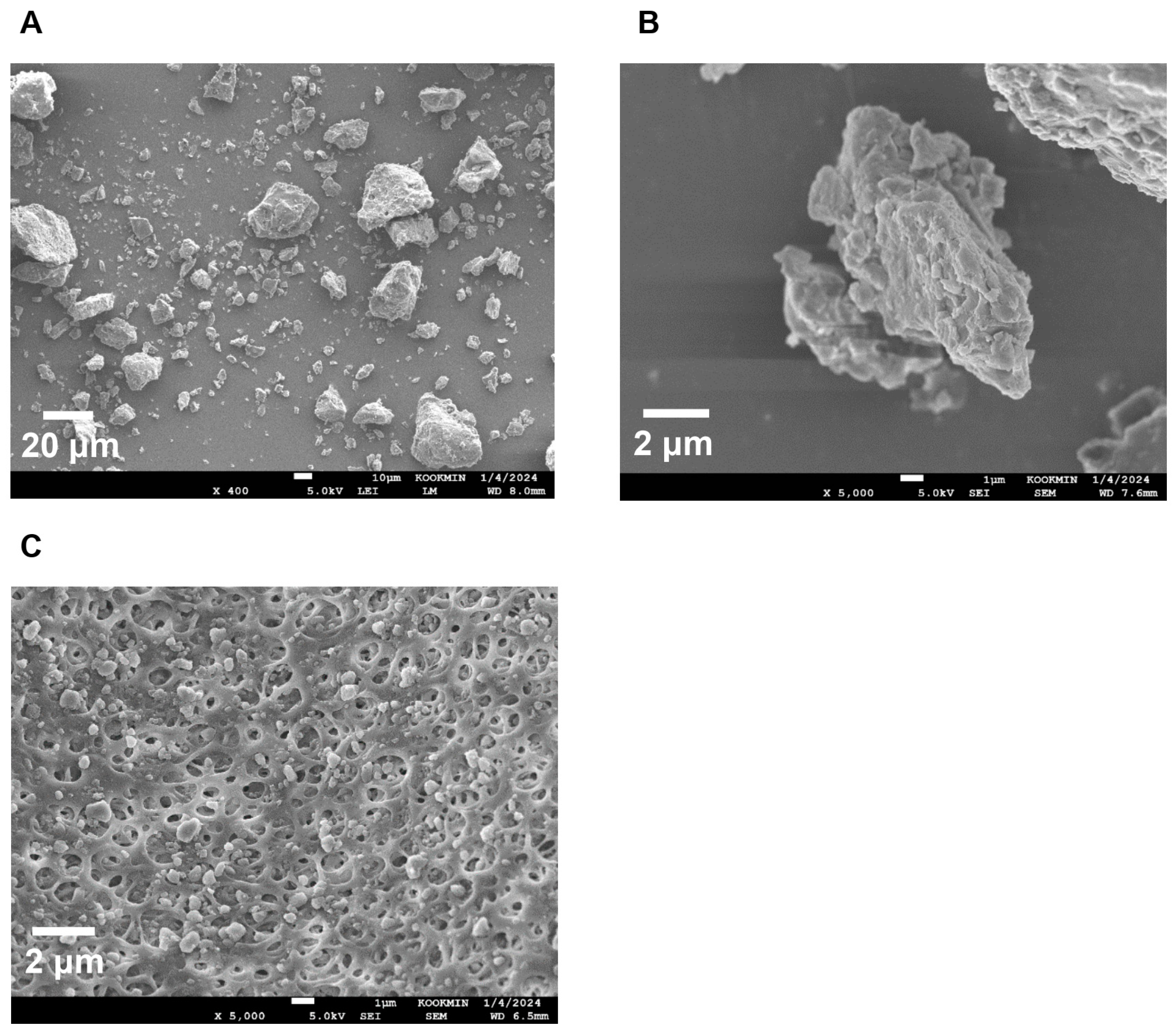 Pharmaceutics 16 01033 g006