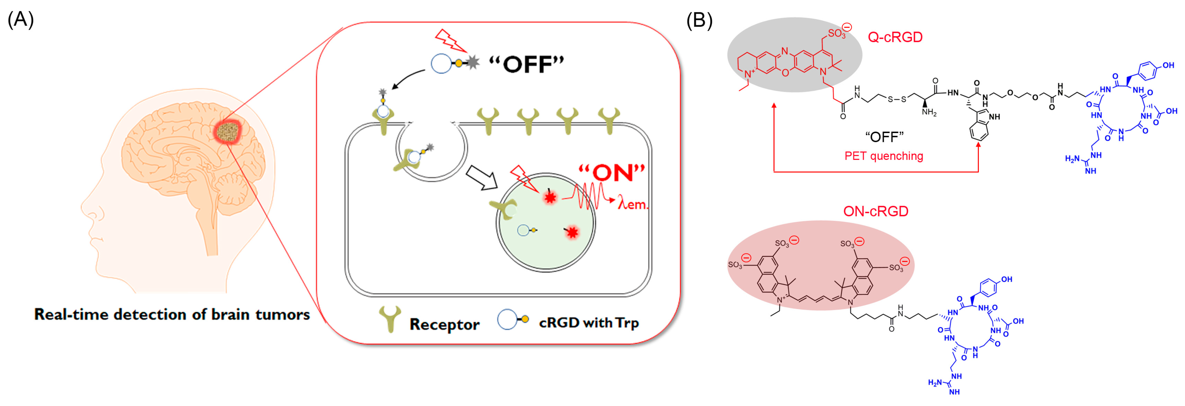 Pharmaceutics 16 01034 g001