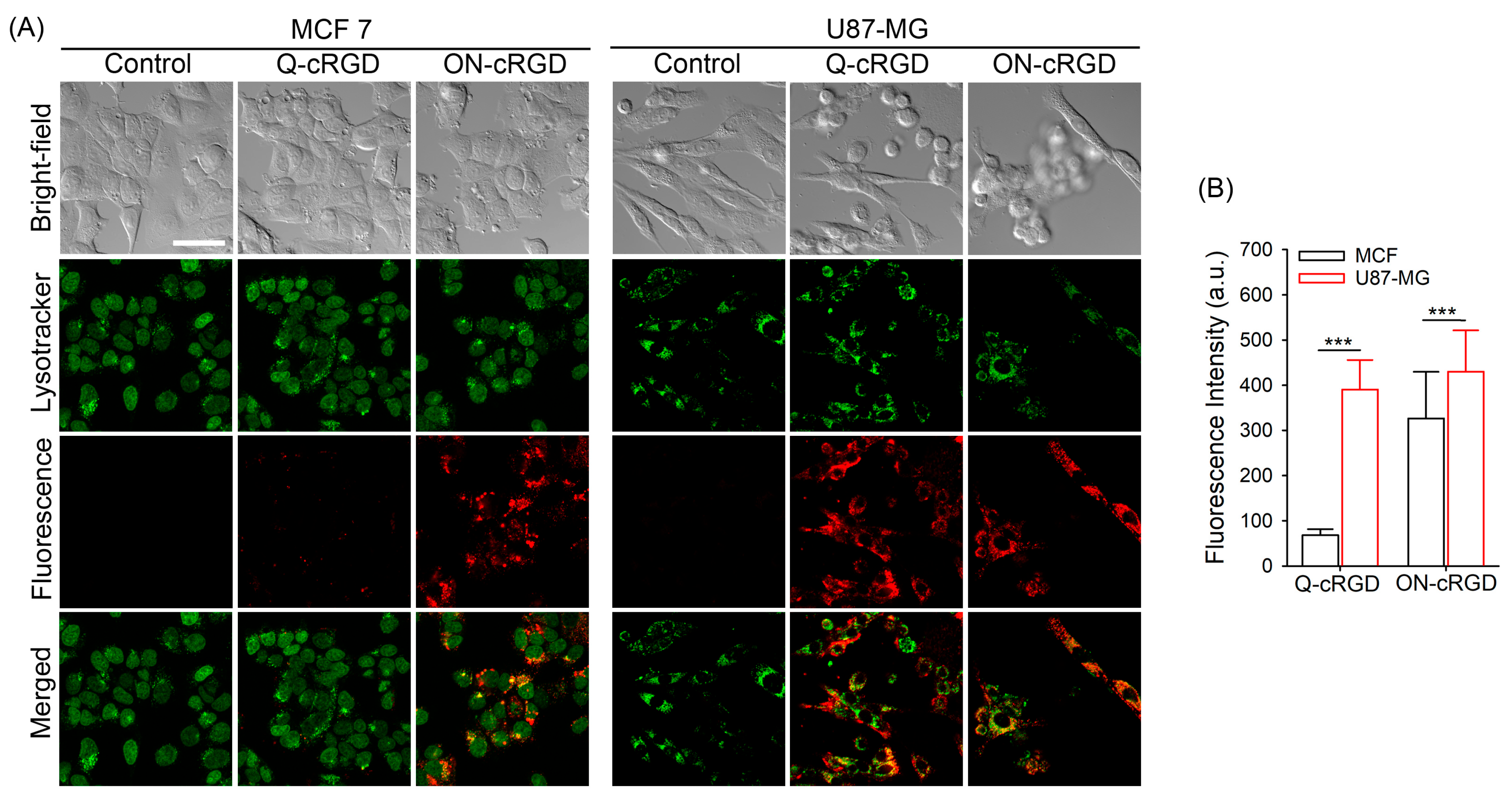 Pharmaceutics 16 01034 g003