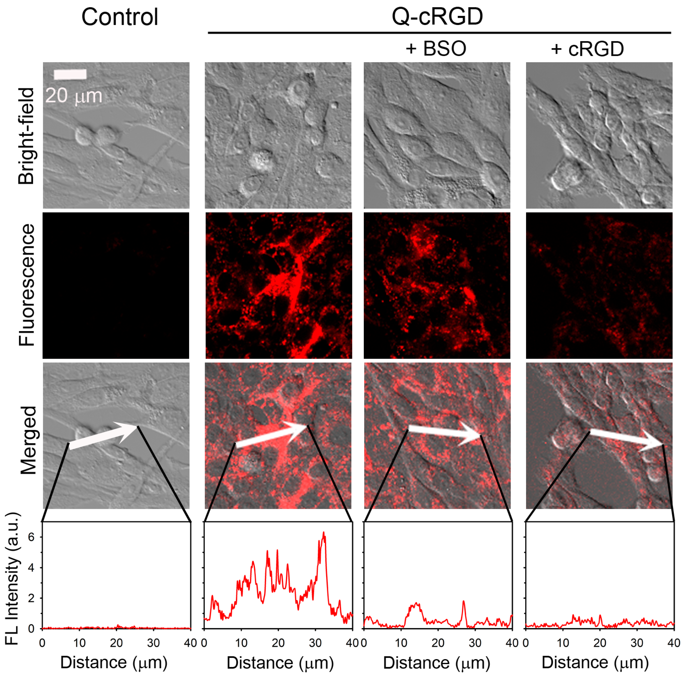 Pharmaceutics 16 01034 g004