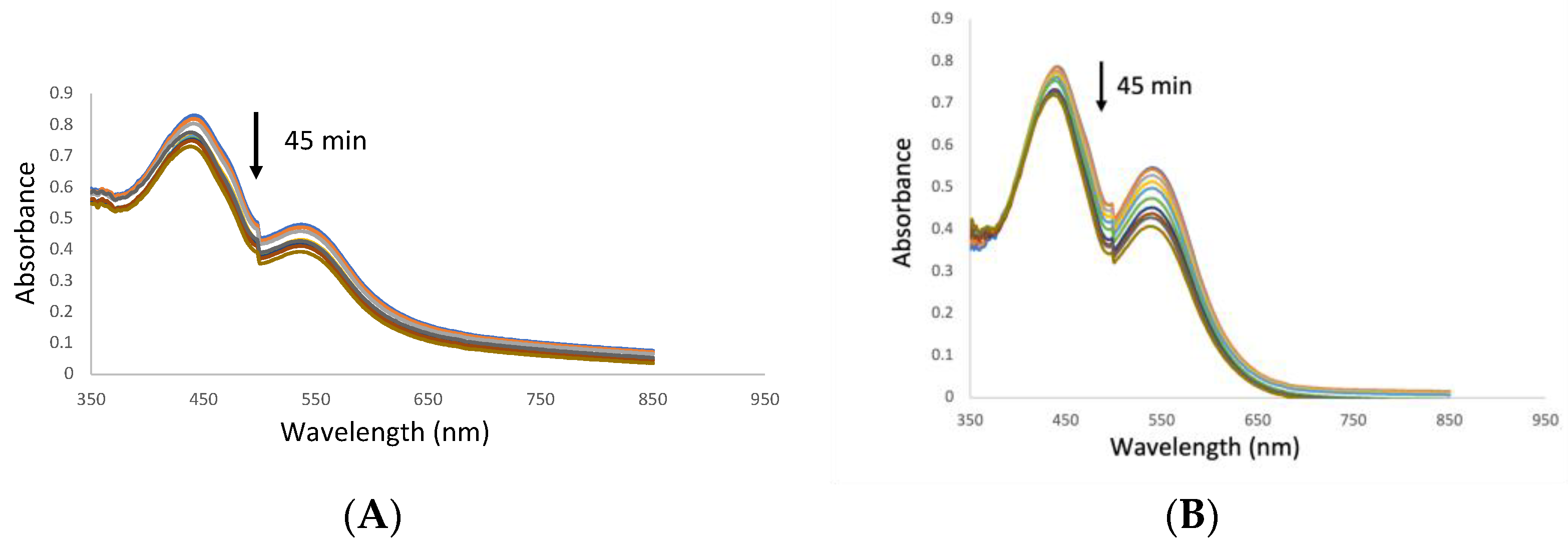 Pharmaceutics 16 01038 g003