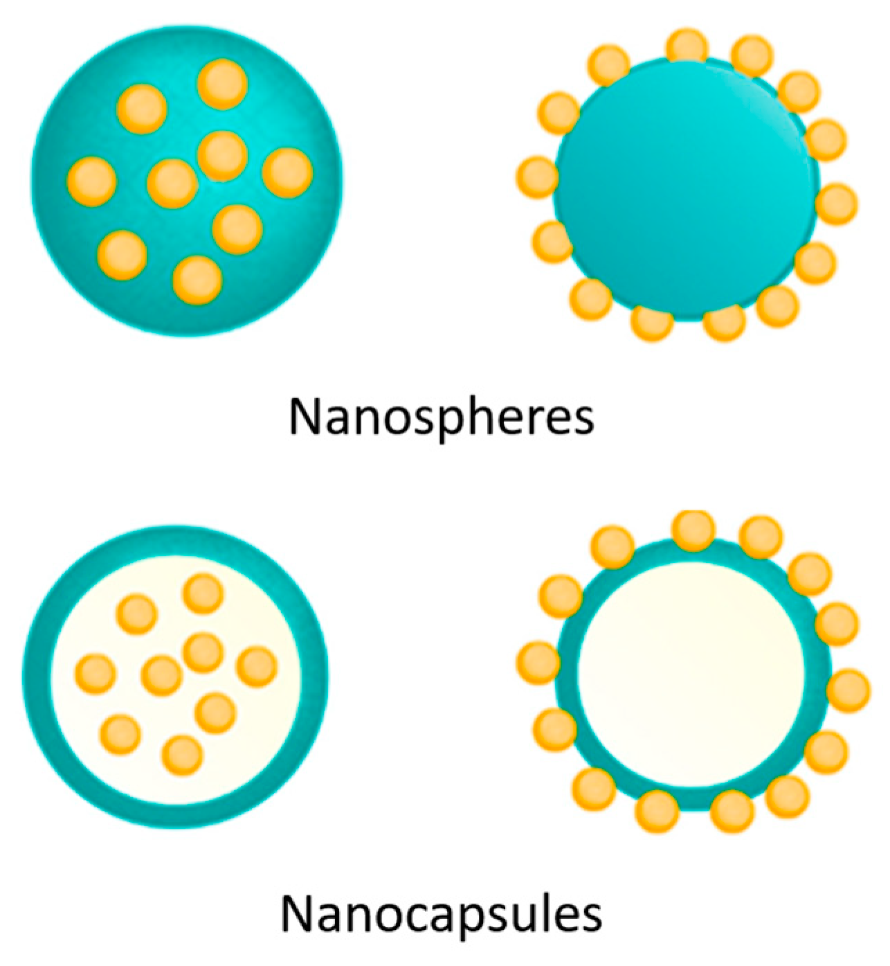 Pharmaceutics 16 01043 g002 Pharmaceutics 16 01043 g002