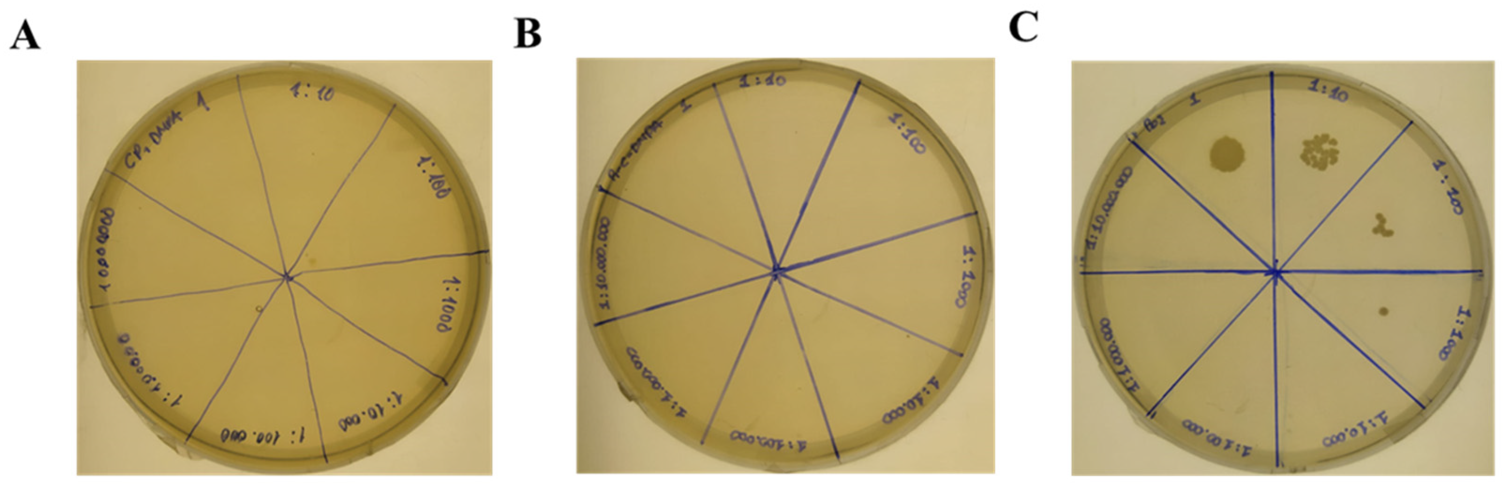Pharmaceutics 16 01045 g008