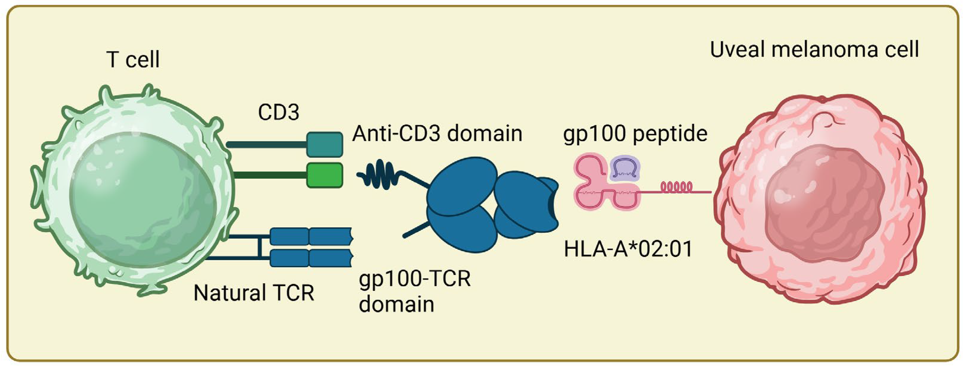Pharmaceutics 16 01046 g001