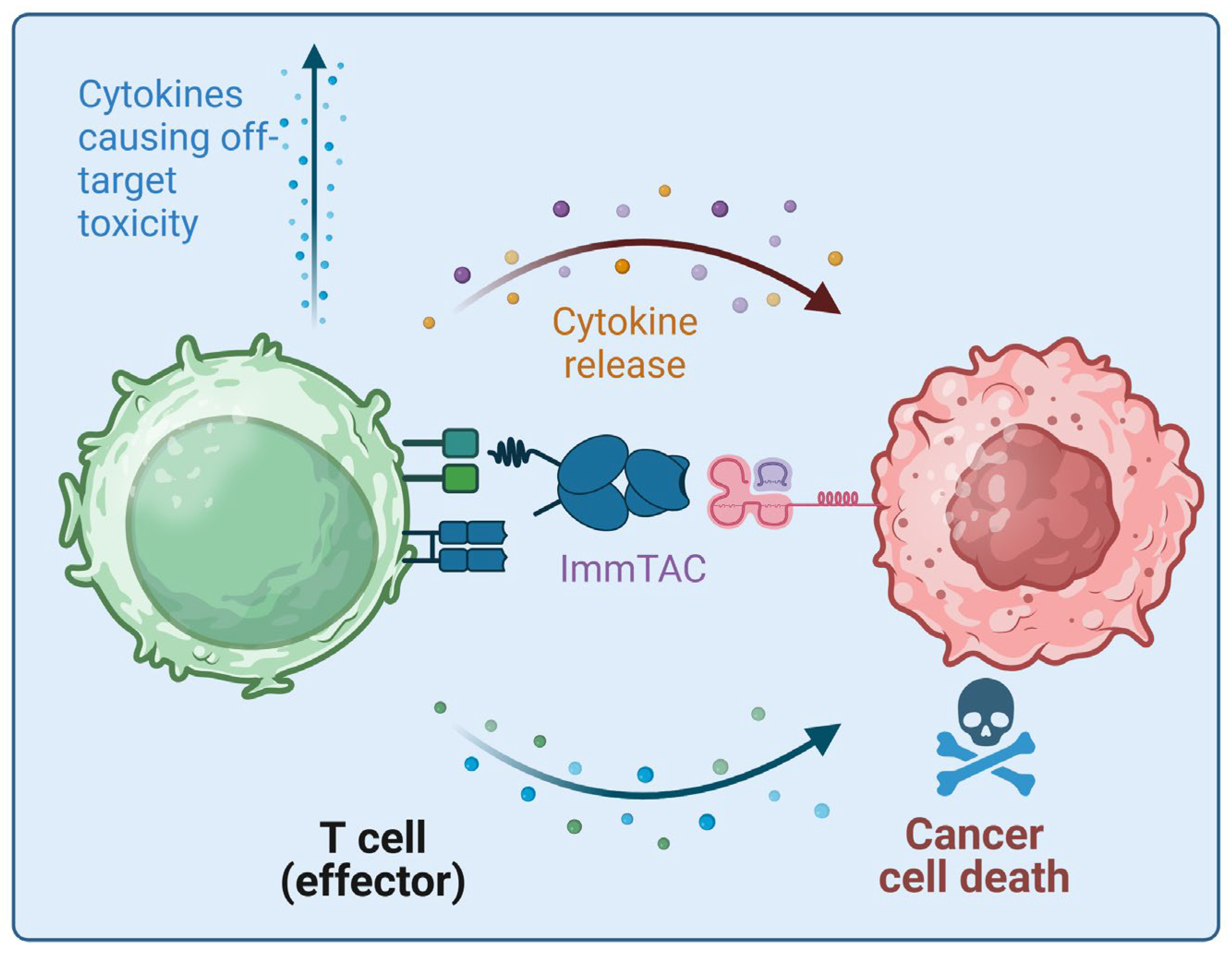 Pharmaceutics 16 01046 g002