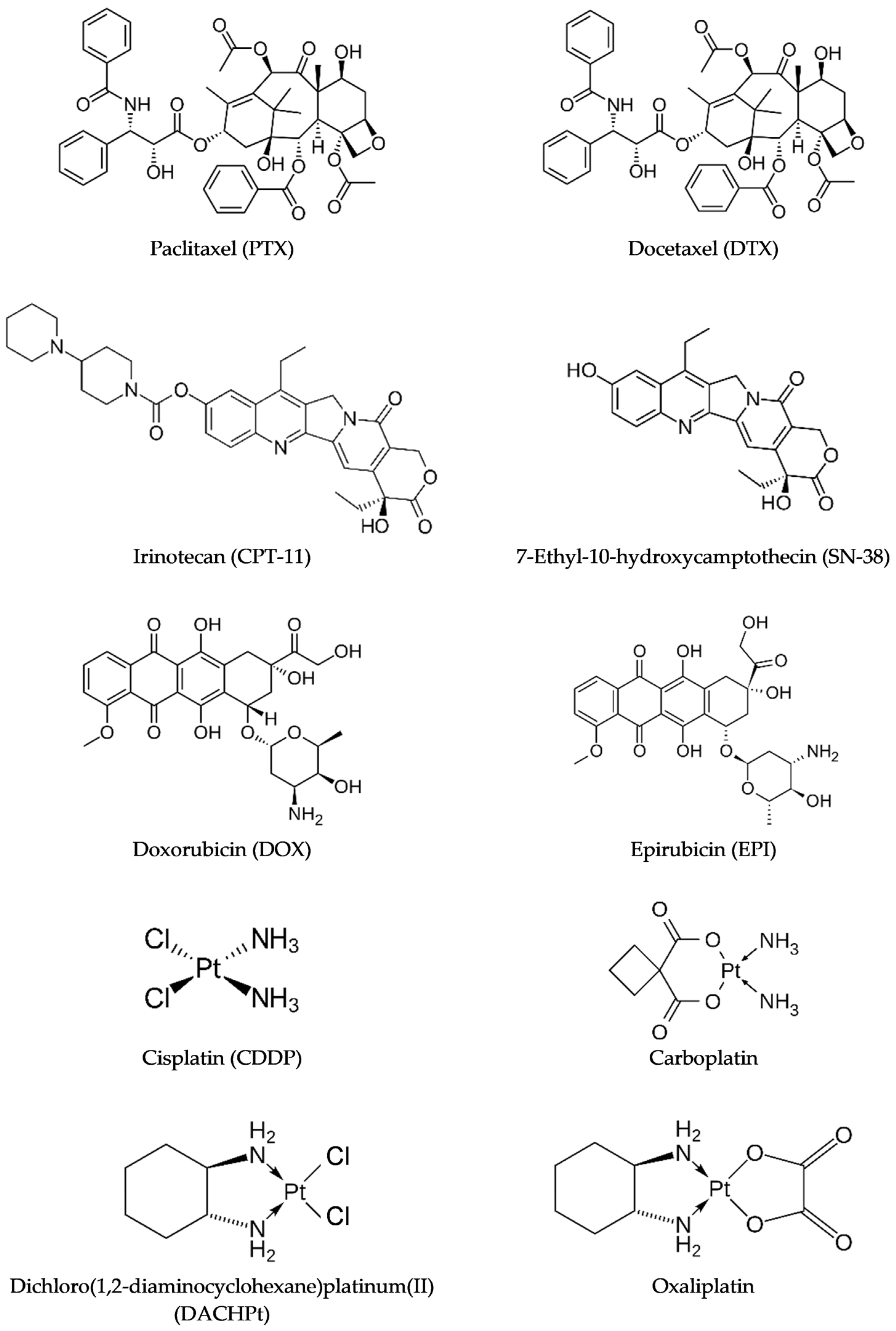 Pharmaceutics 16 01047 g002 Pharmaceutics 16 01047 g002