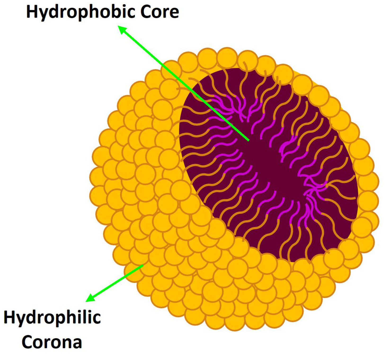 Pharmaceutics 16 01047 g003 Pharmaceutics 16 01047 g003