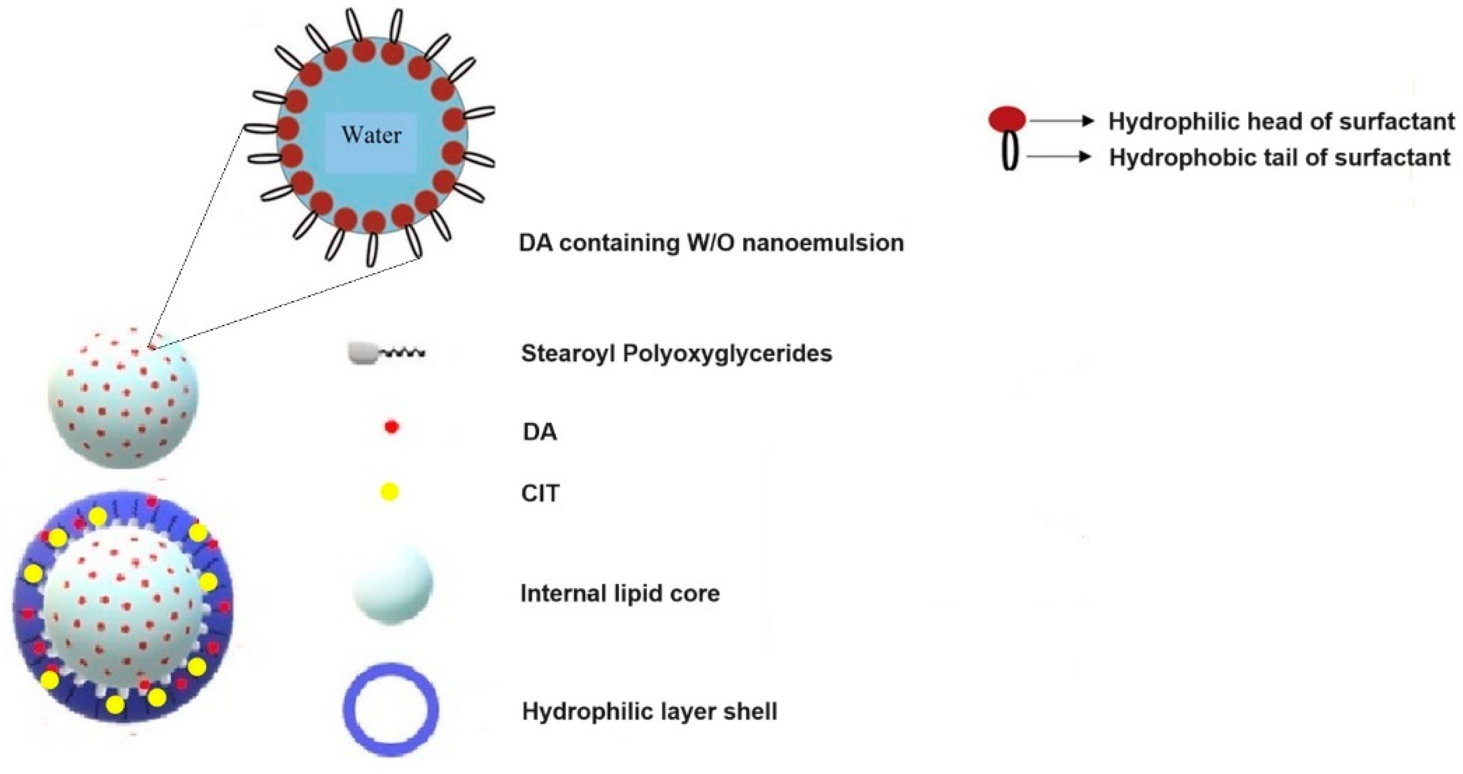 Pharmaceutics 16 01048 g007