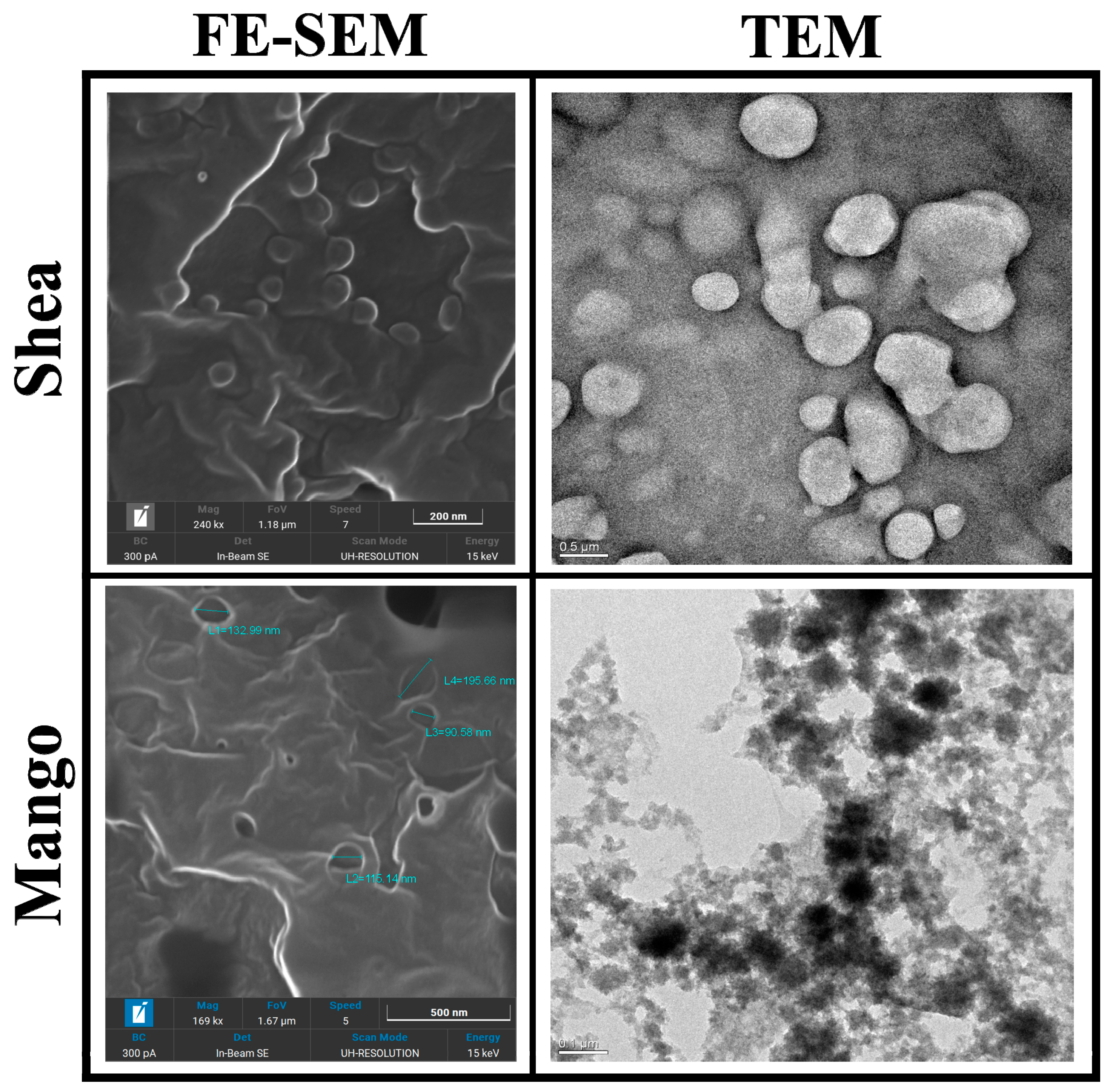 Pharmaceutics 16 01051 g001