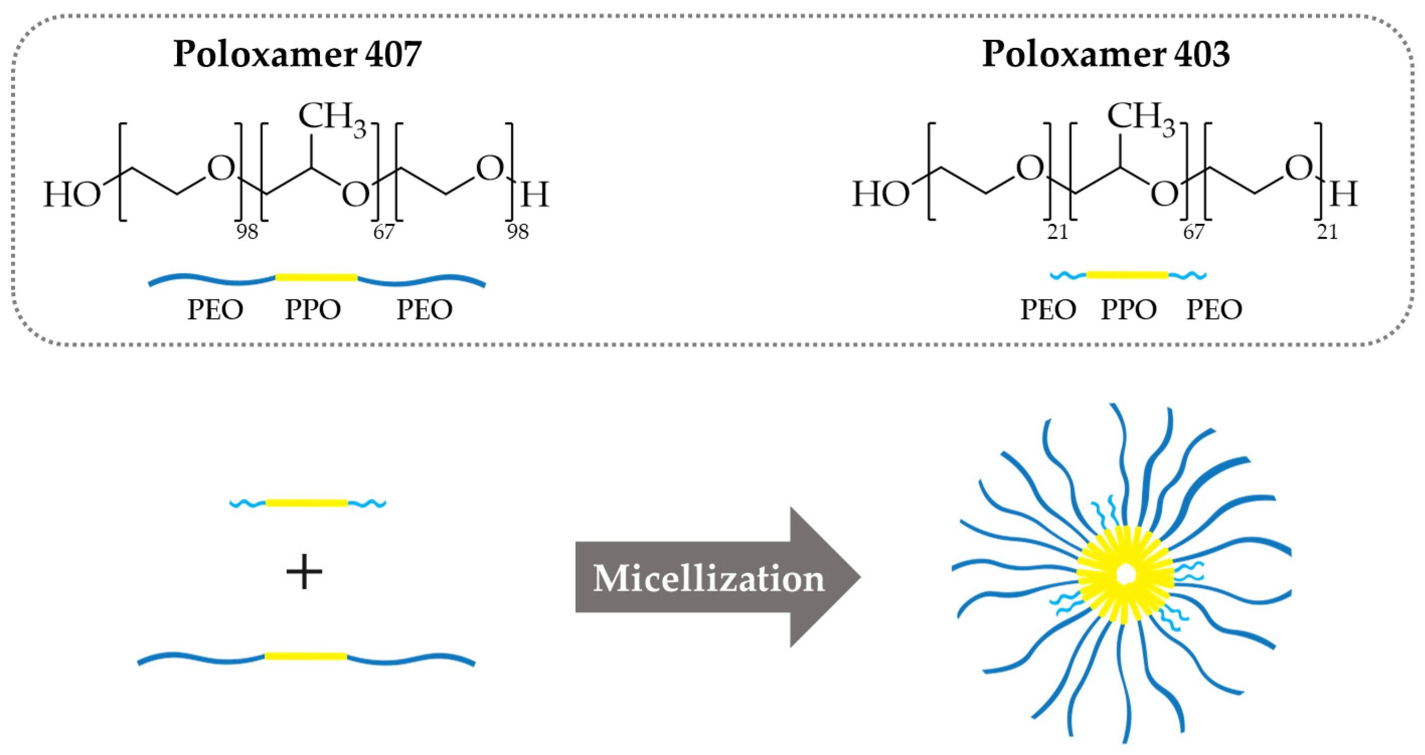 Pharmaceutics 16 01055 sch001