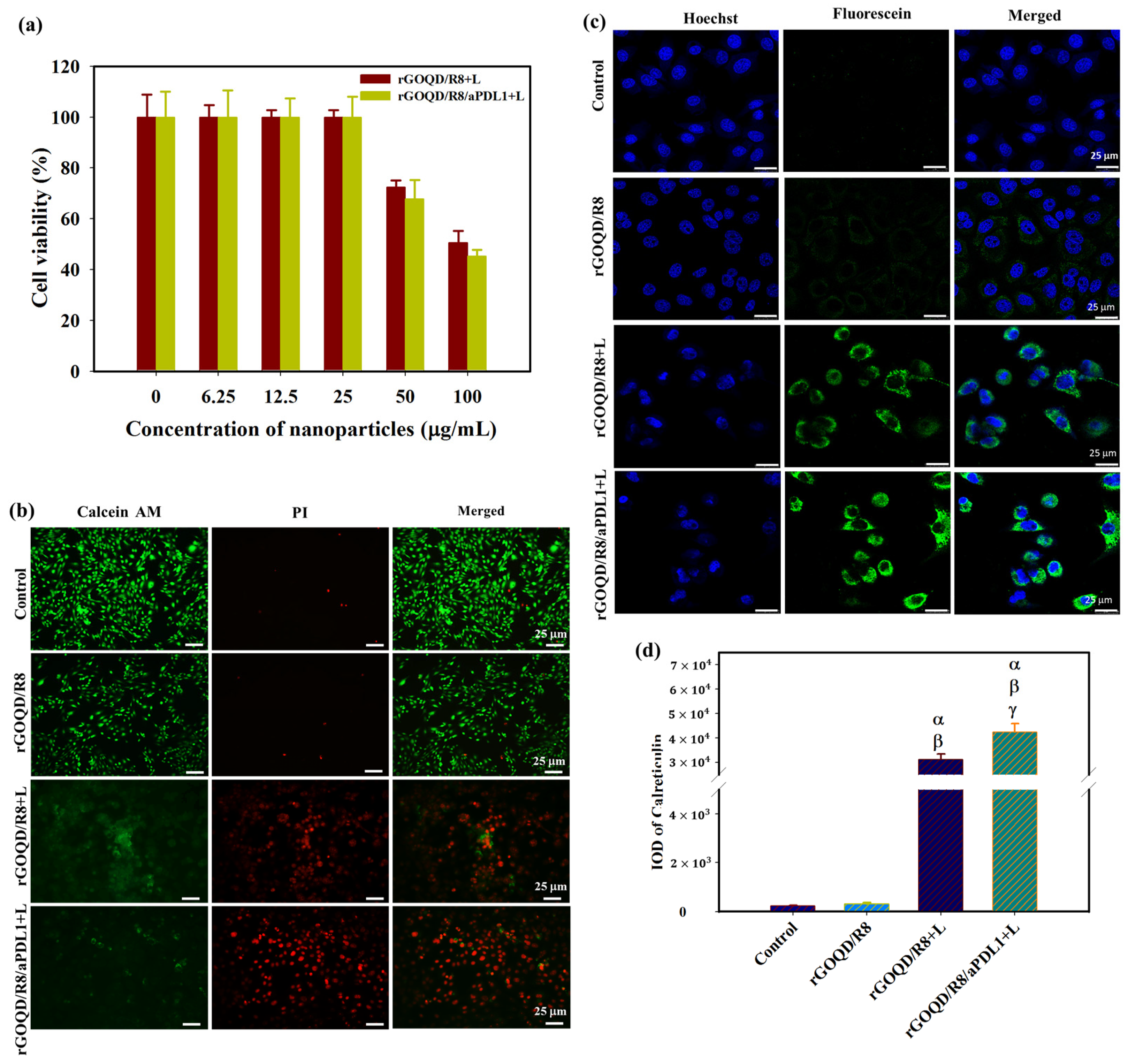 Pharmaceutics 16 01064 g005