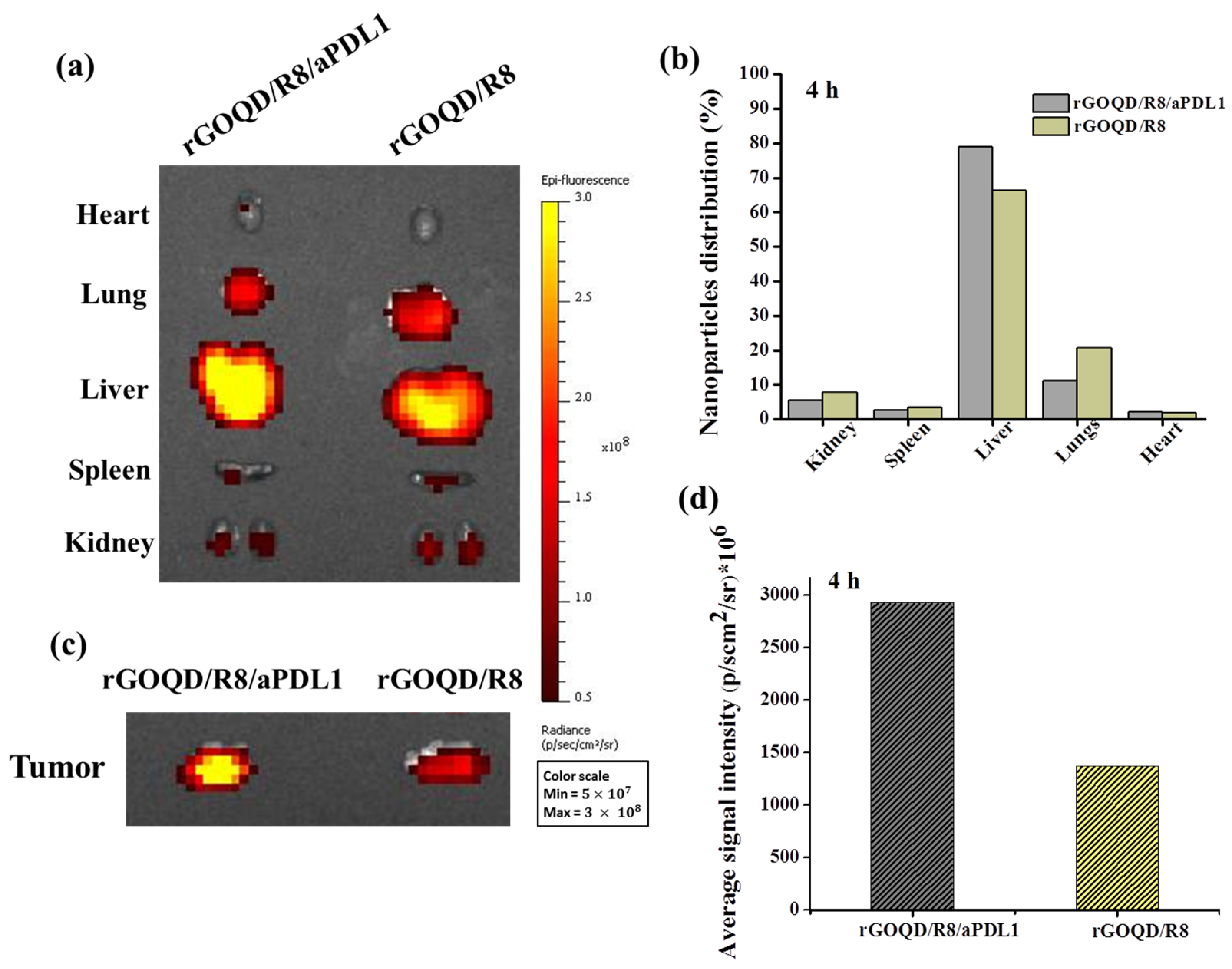 Pharmaceutics 16 01064 g006