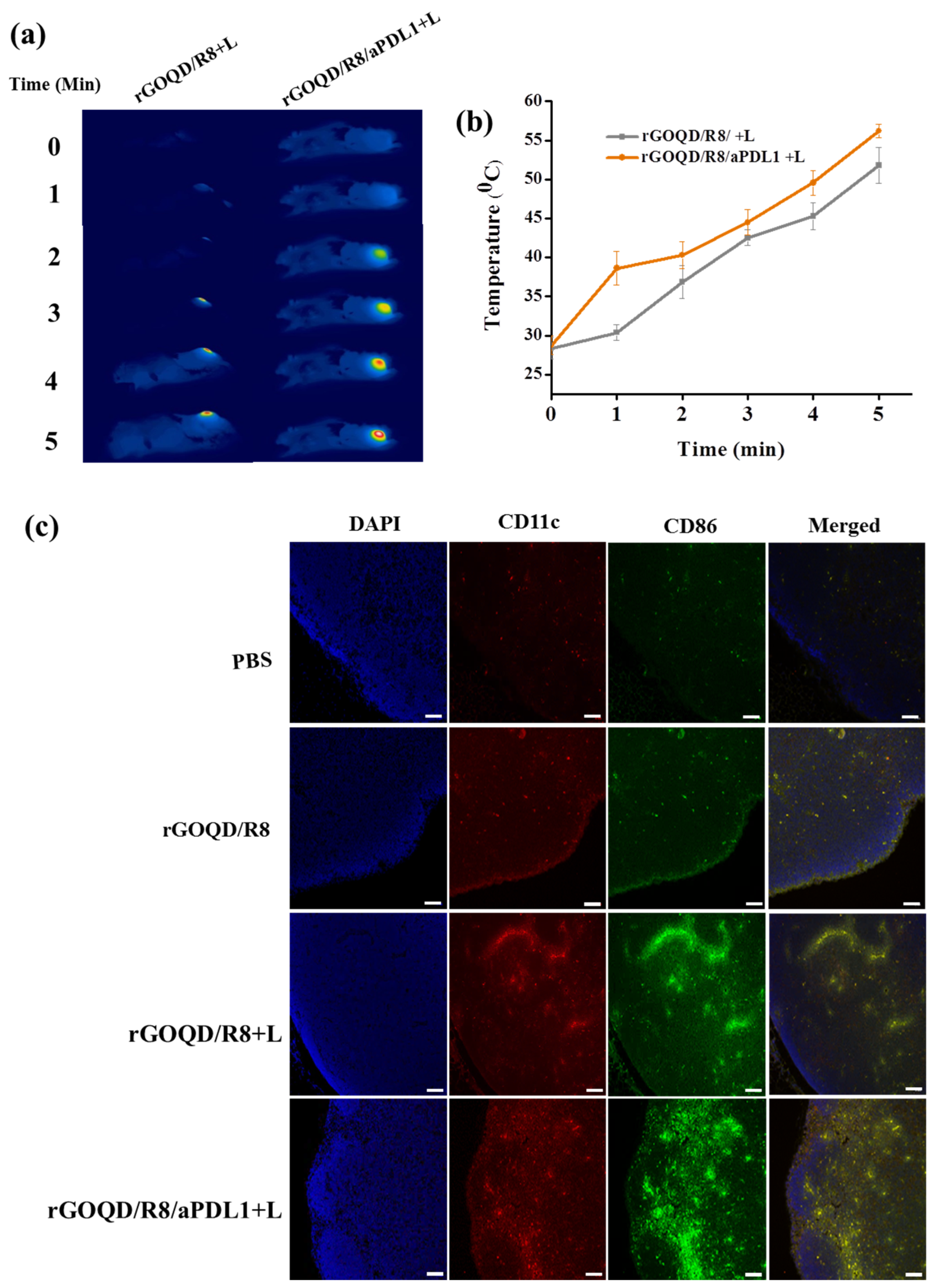 Pharmaceutics 16 01064 g007