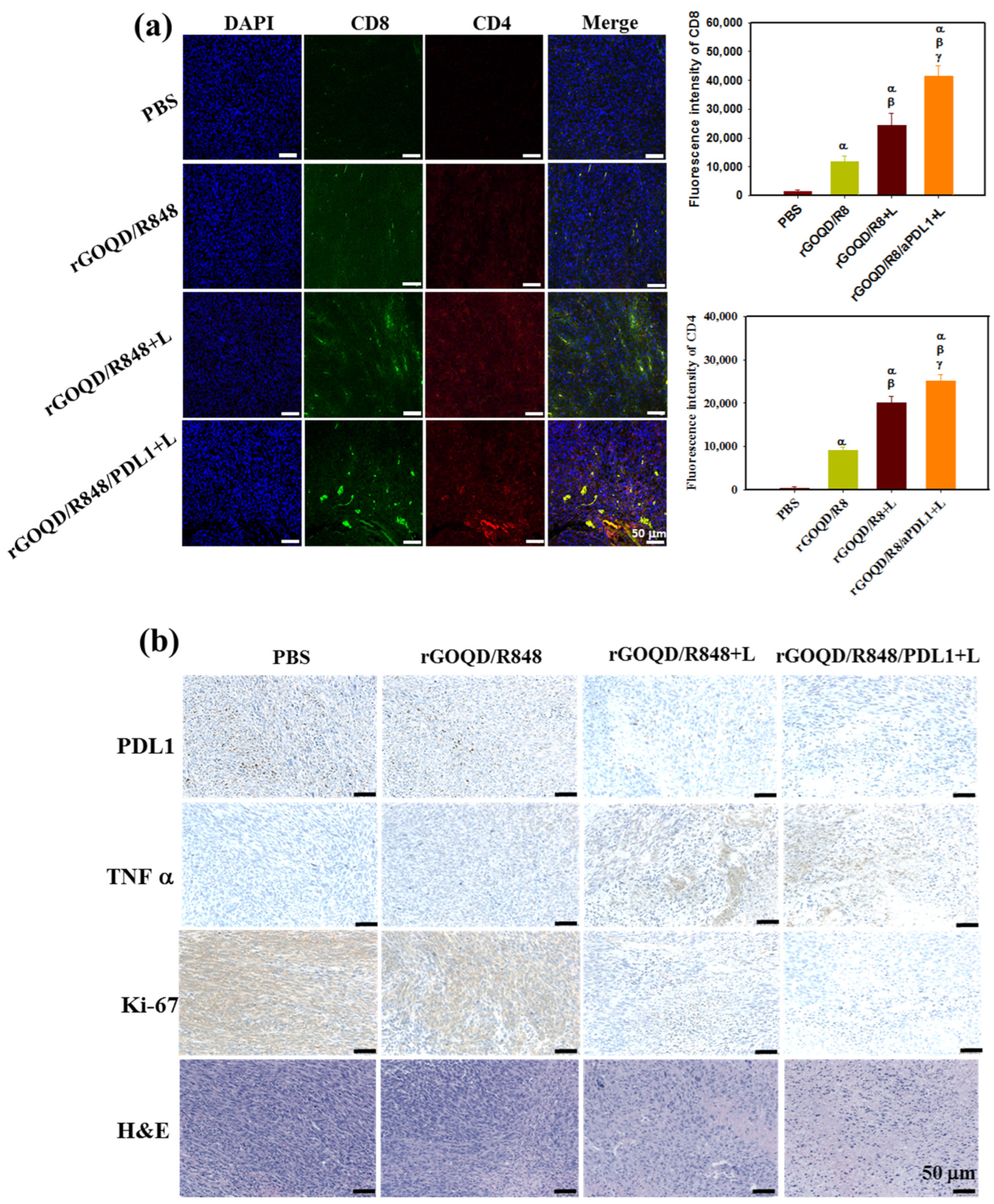 Pharmaceutics 16 01064 g009