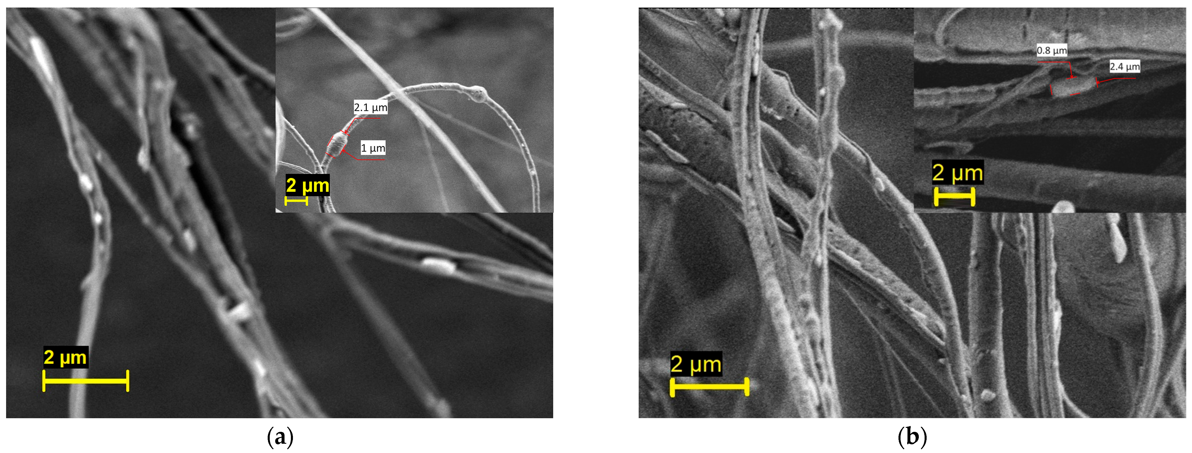 Pharmaceutics 16 01066 g003