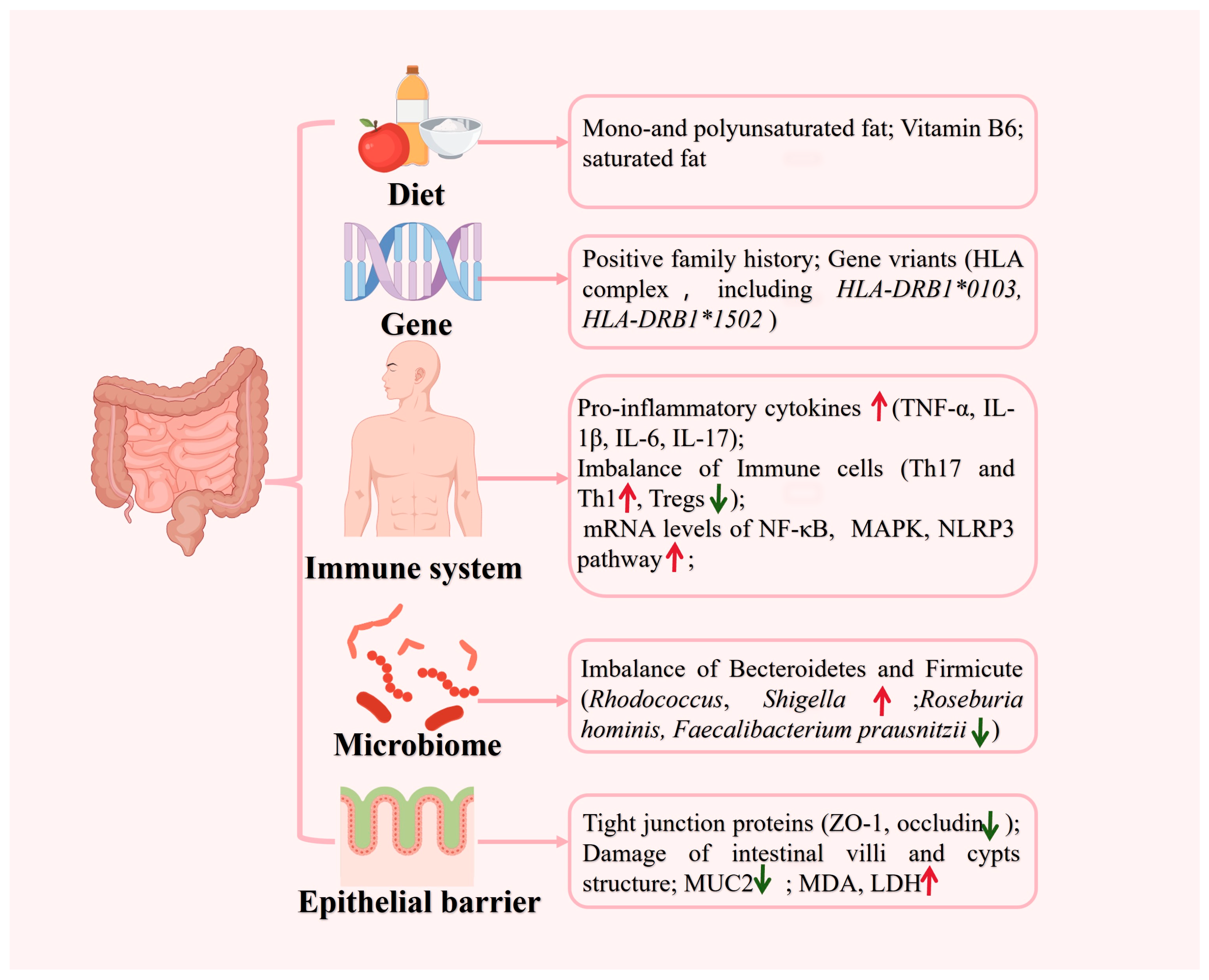 Pharmaceutics 16 01073 g001 Pharmaceutics 16 01073 g001
