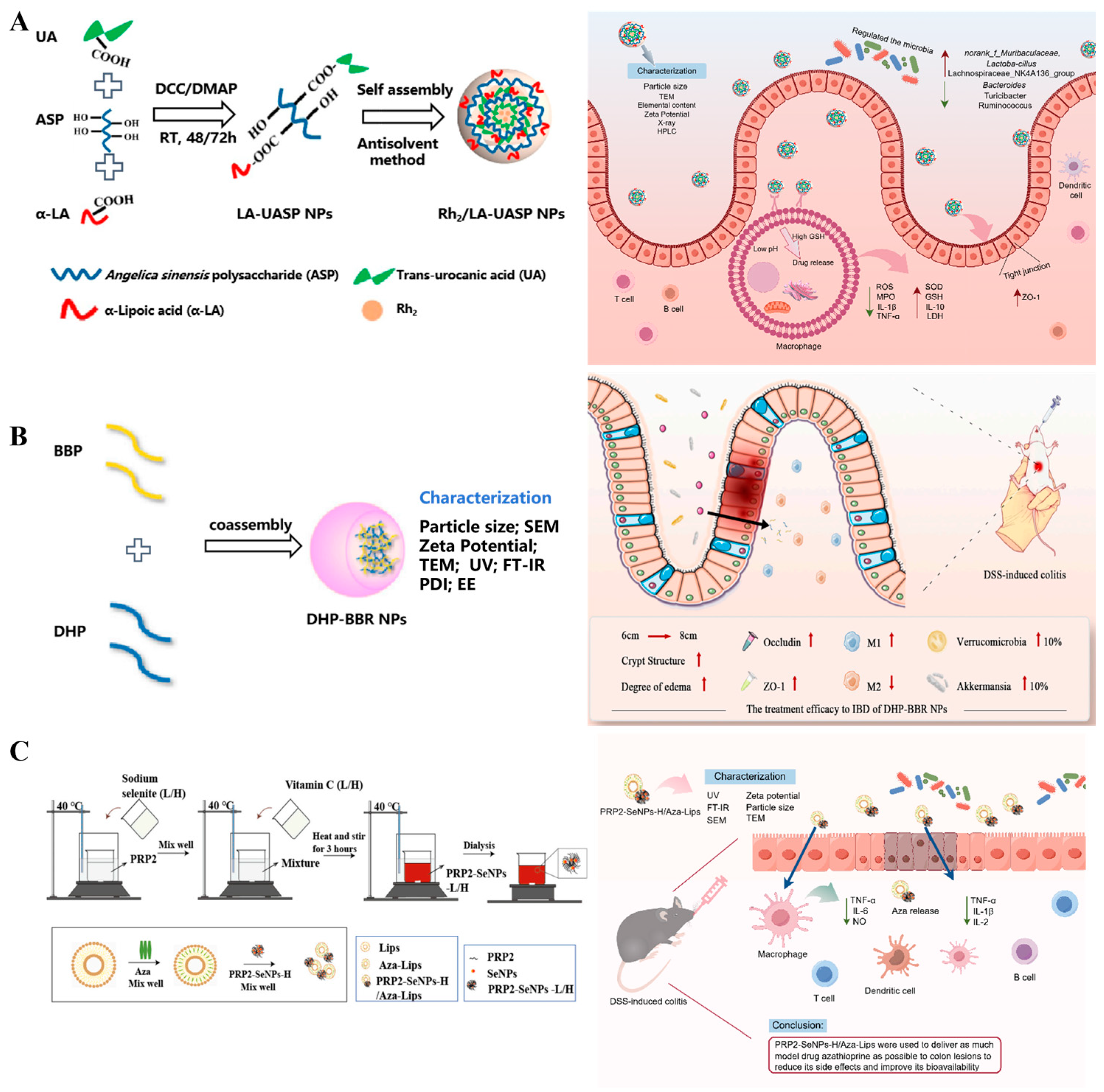 Pharmaceutics 16 01073 g003 Pharmaceutics 16 01073 g003