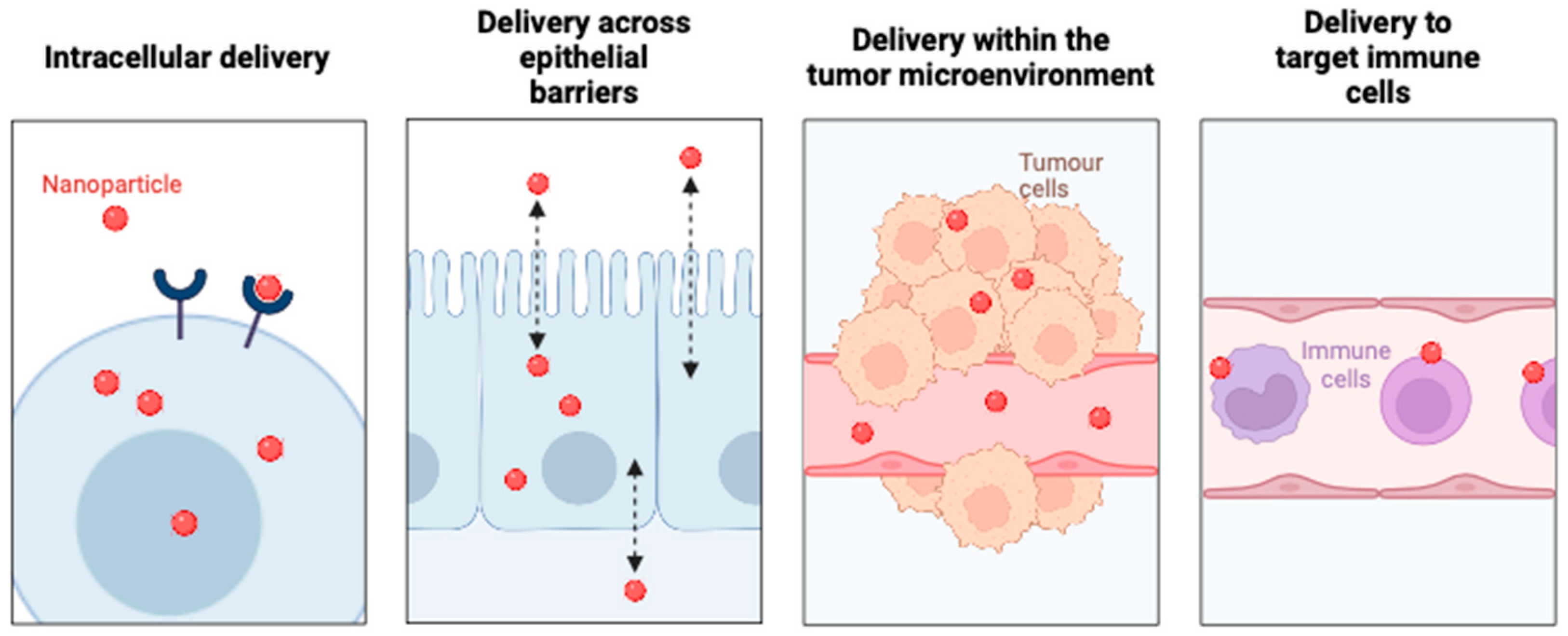 Pharmaceutics 16 01076 g001