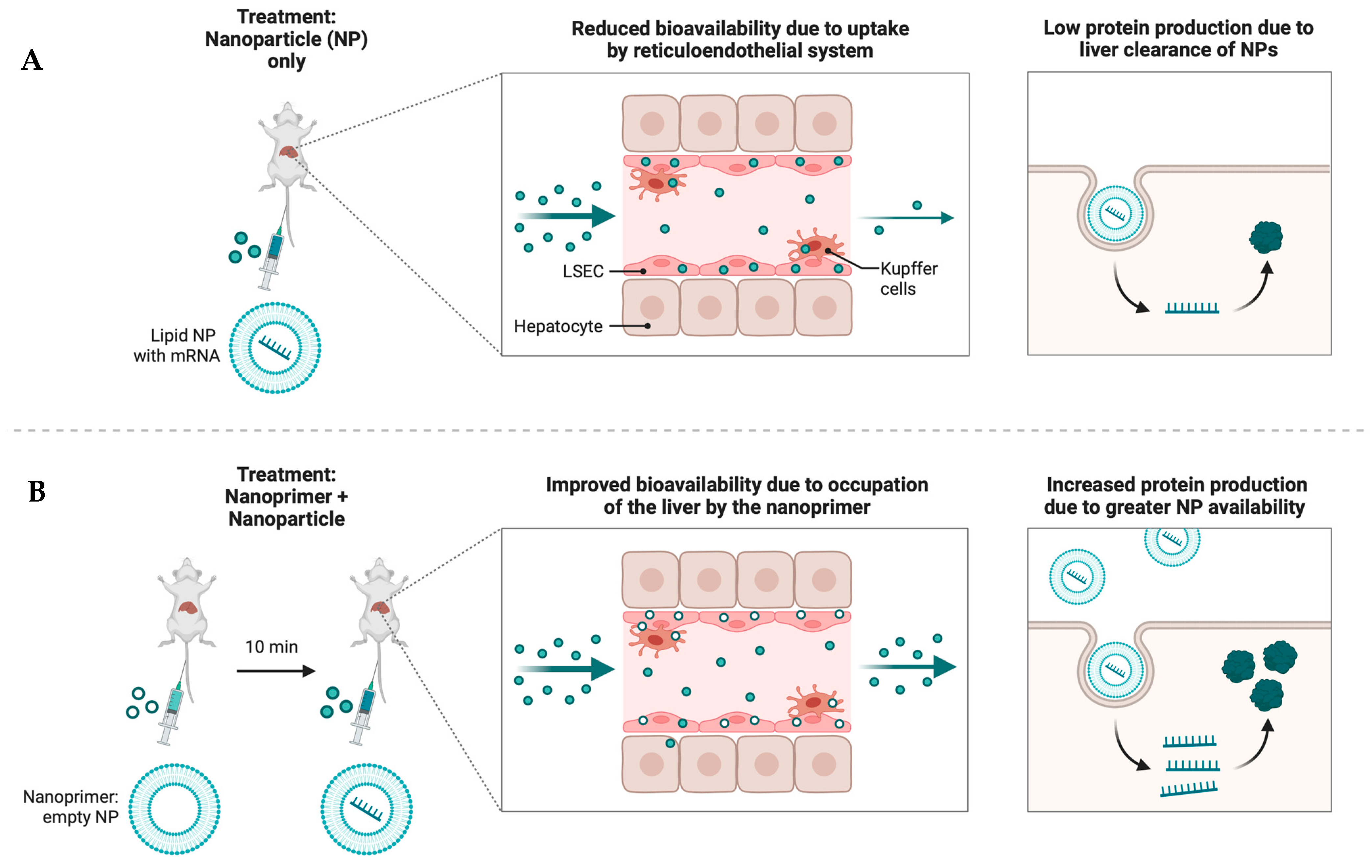 Pharmaceutics 16 01076 g006