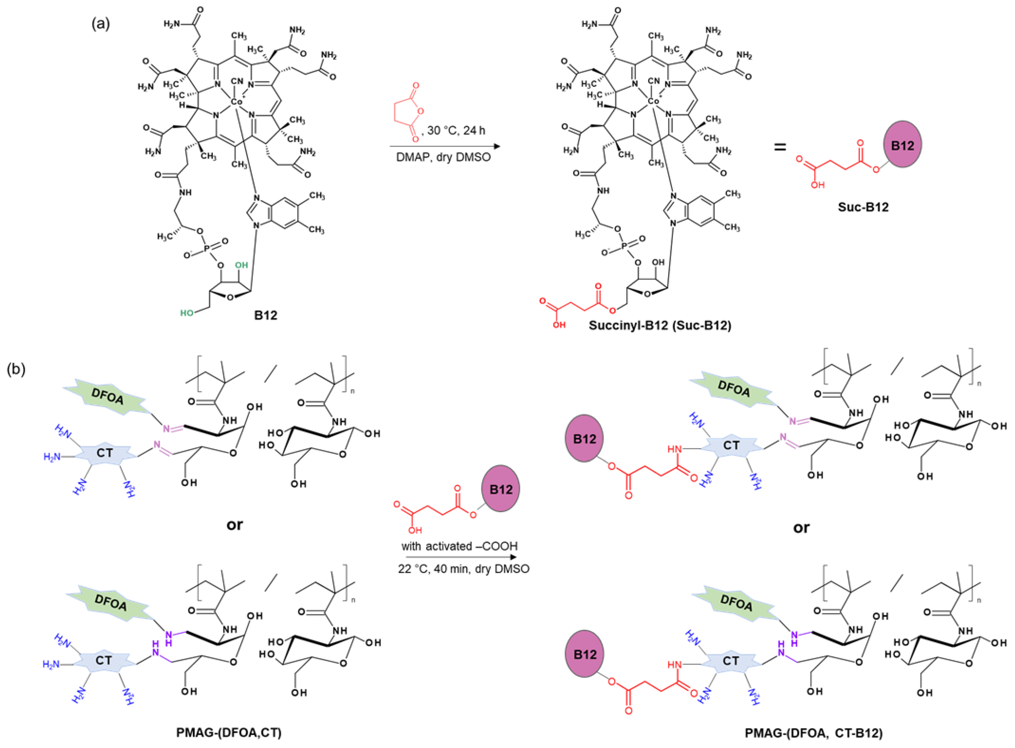 Pharmaceutics 16 01080 g003