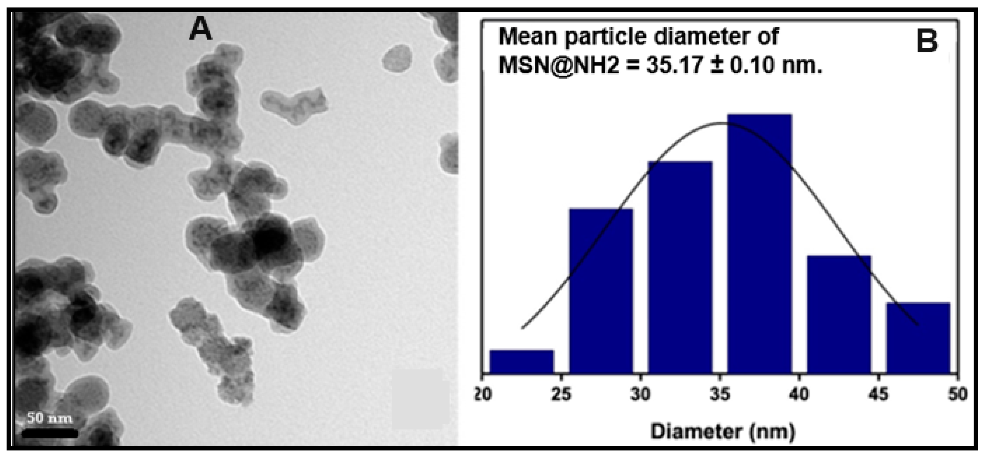 Pharmaceutics 16 01086 g003