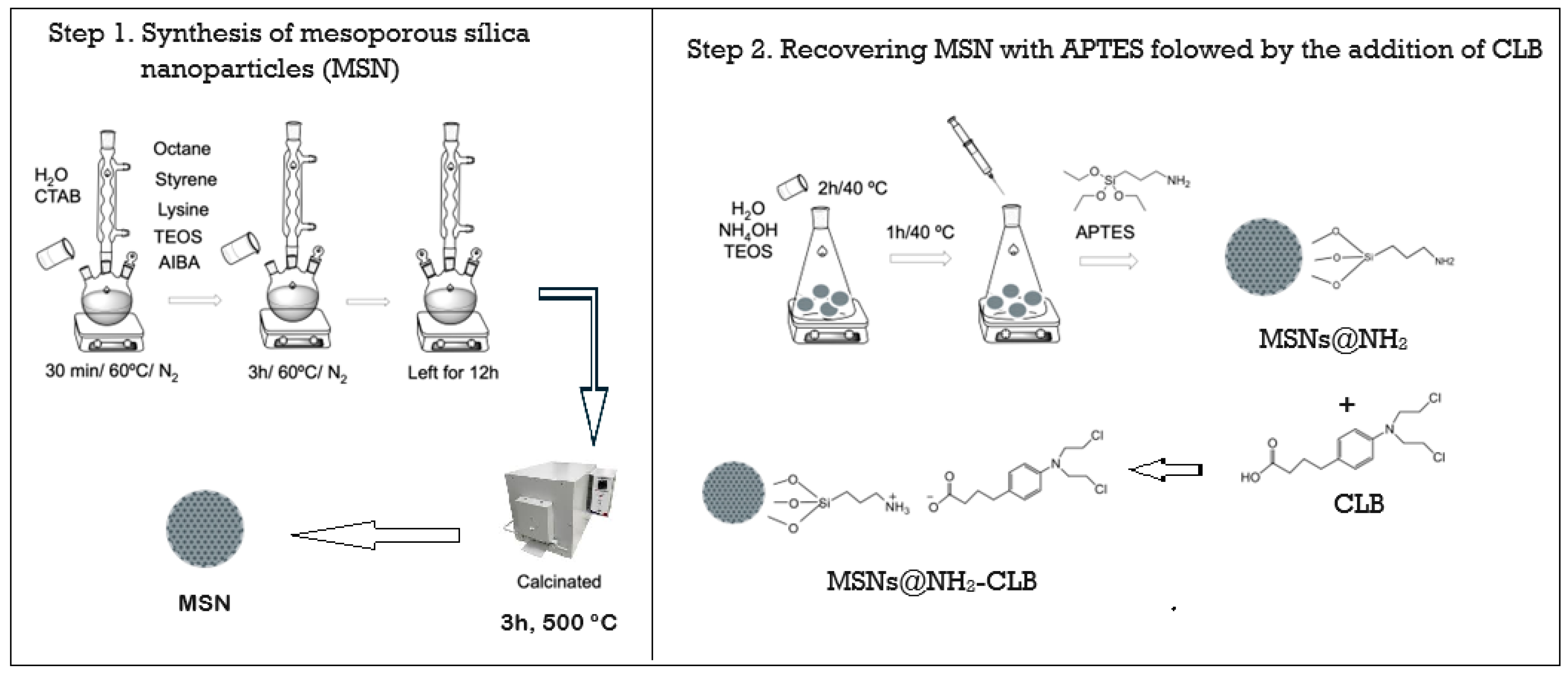Pharmaceutics 16 01086 sch001