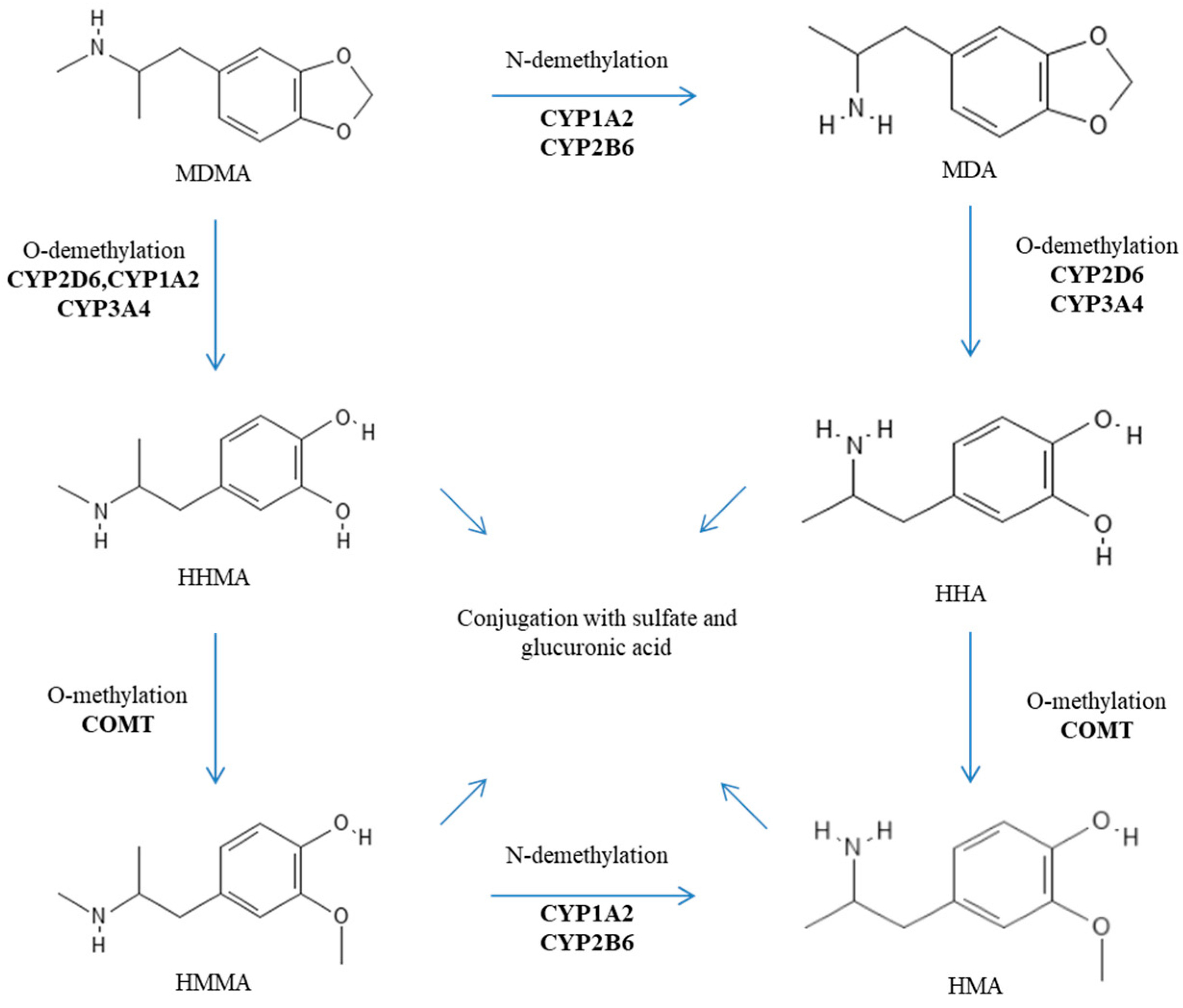 Pharmaceutics 16 01091 g002