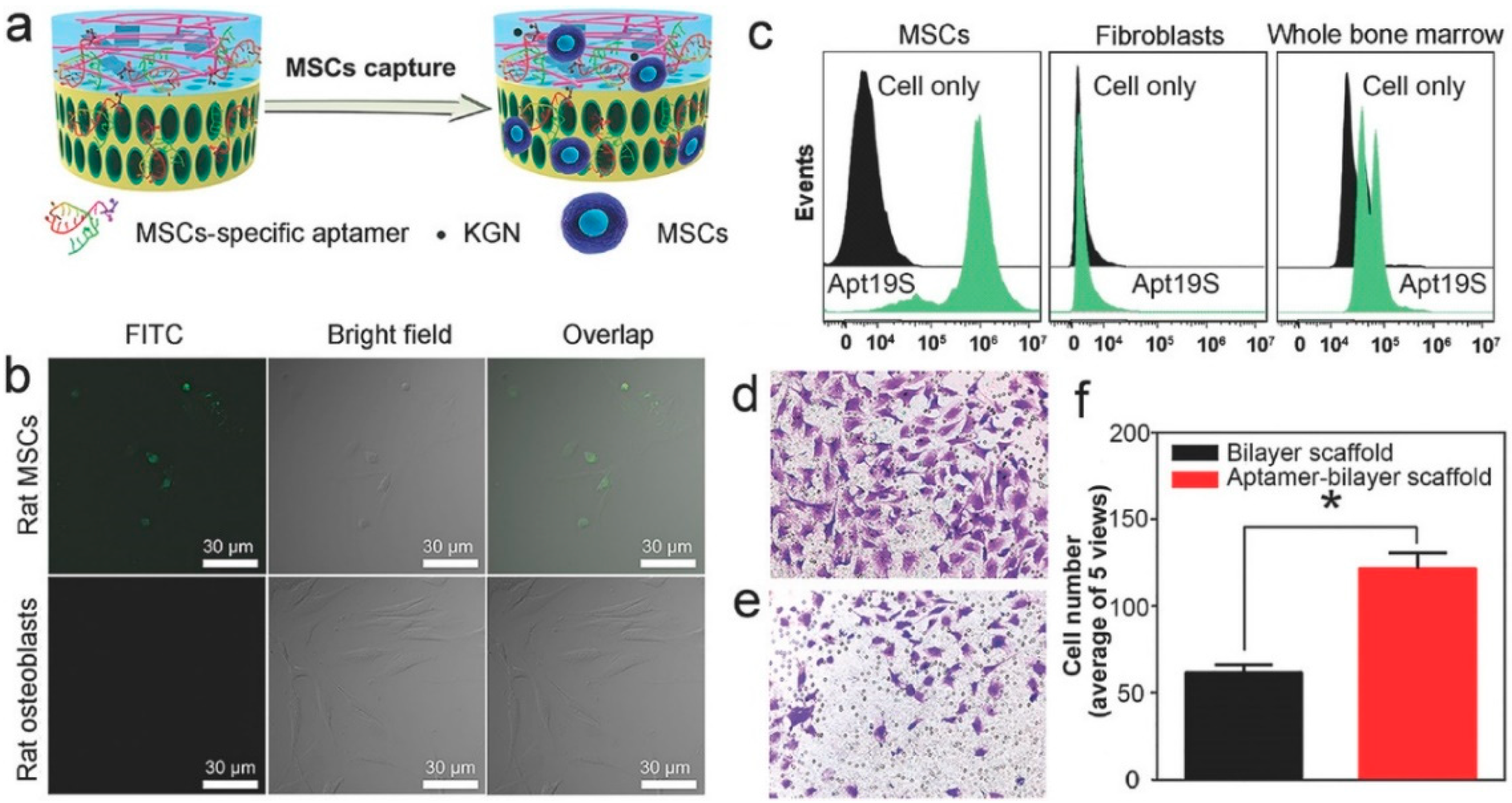 Pharmaceutics 16 01095 g008