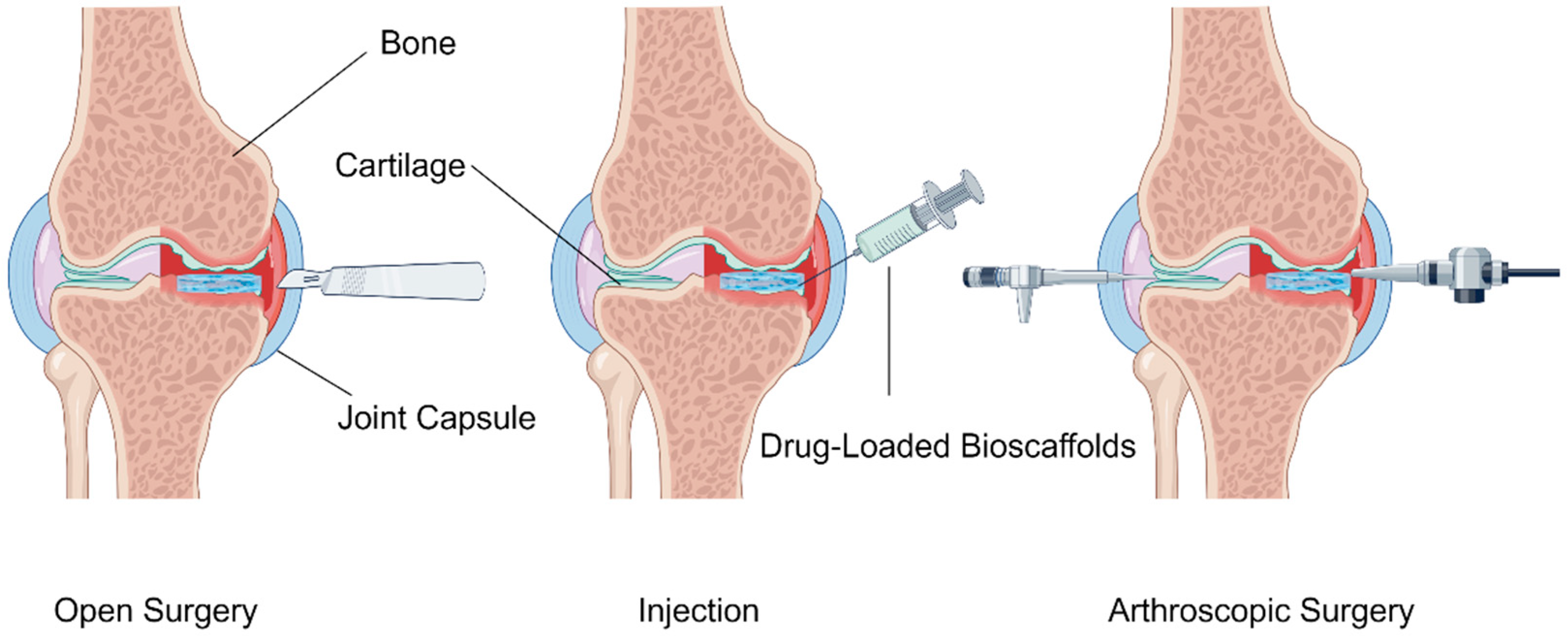 Pharmaceutics 16 01095 g009