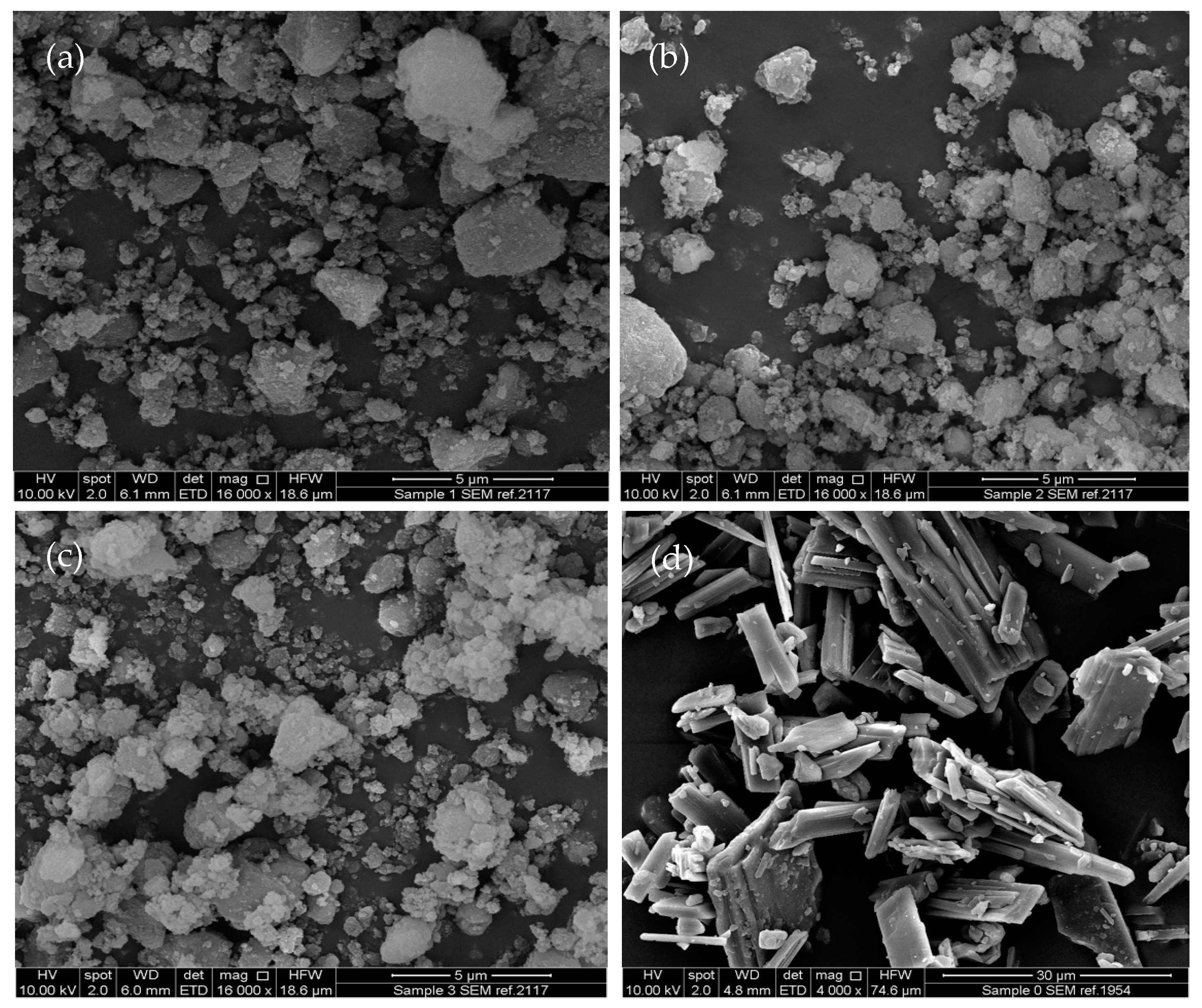 Pharmaceutics 16 01102 g001