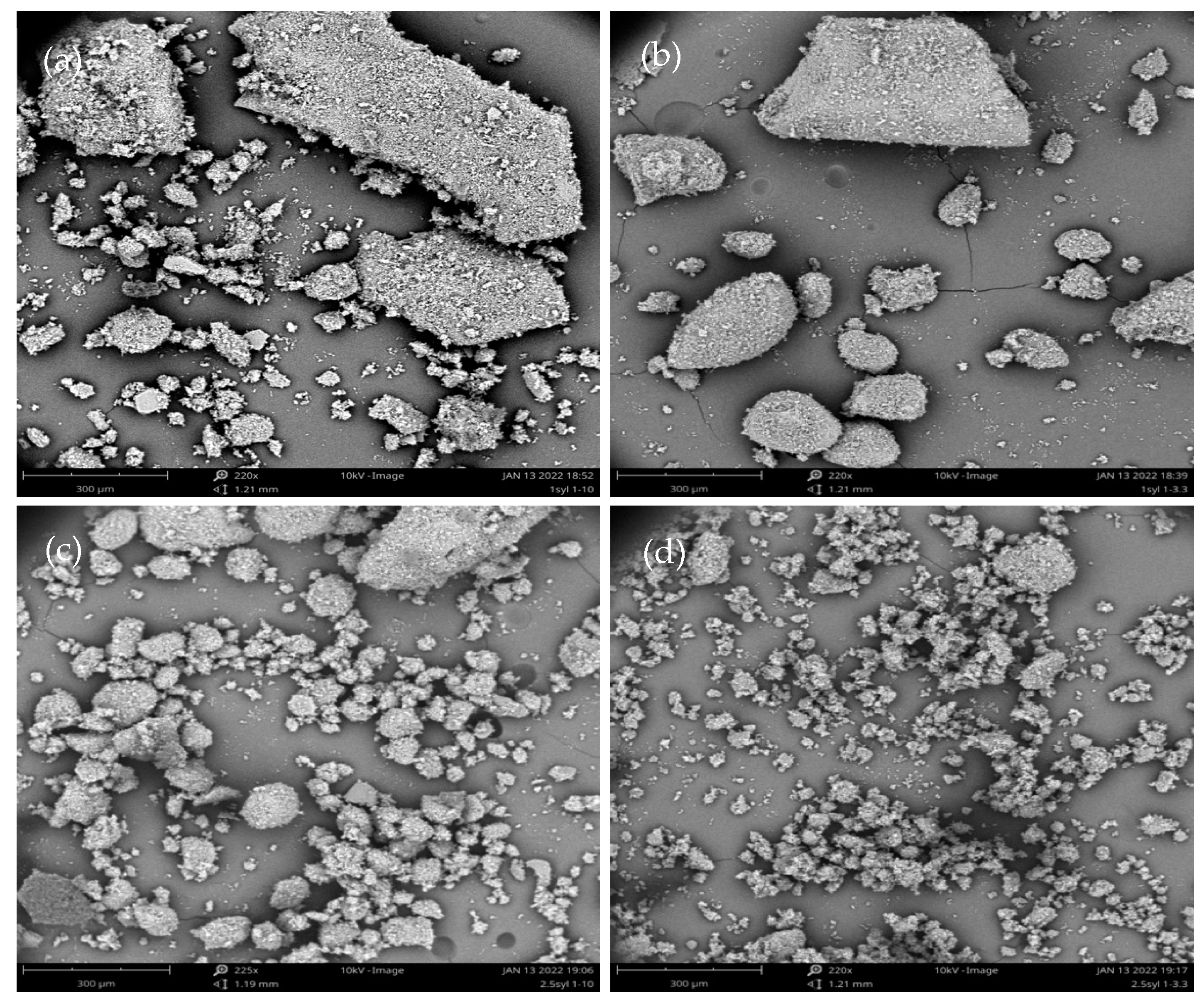 Pharmaceutics 16 01102 g010