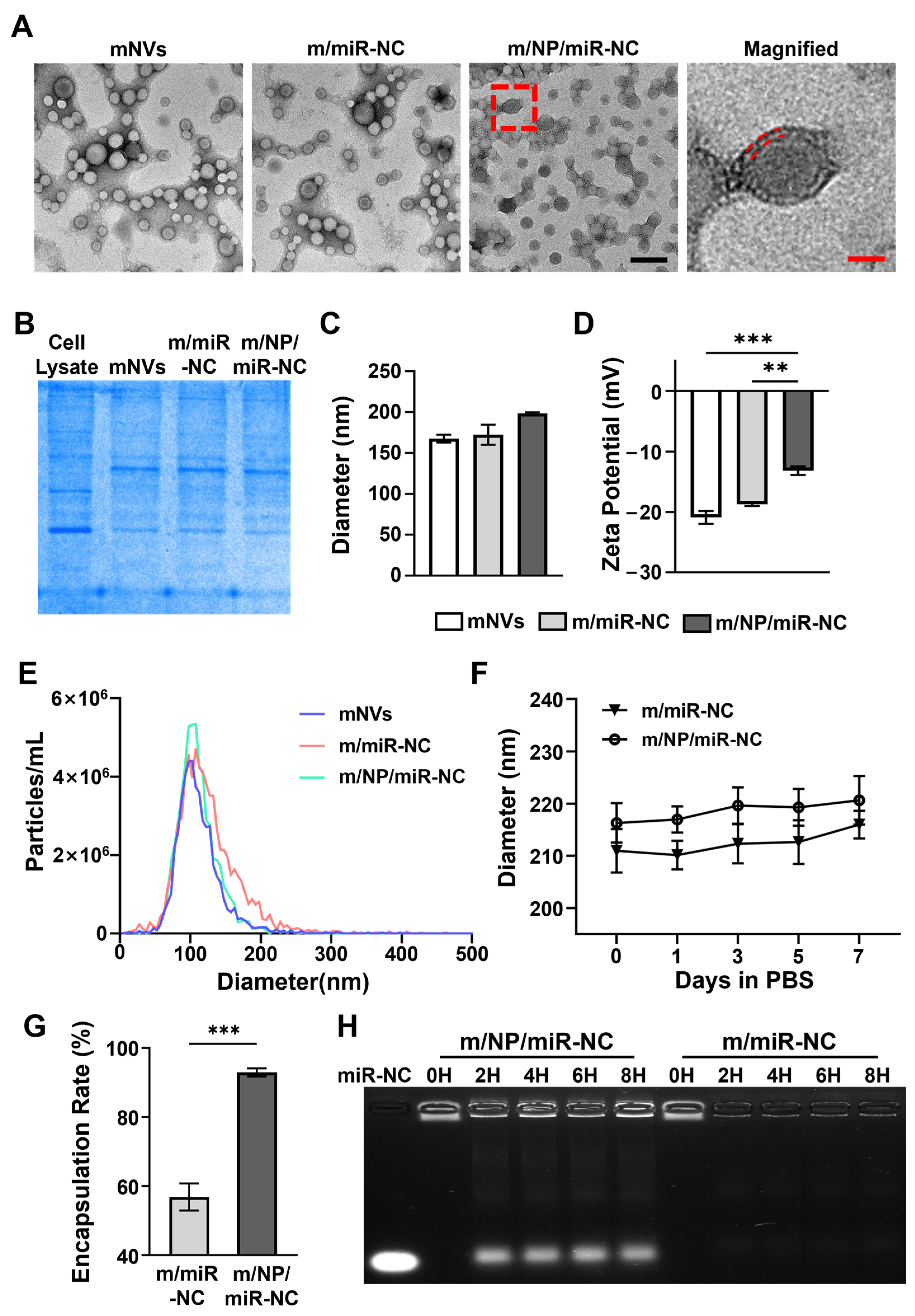 Pharmaceutics 16 01113 g001