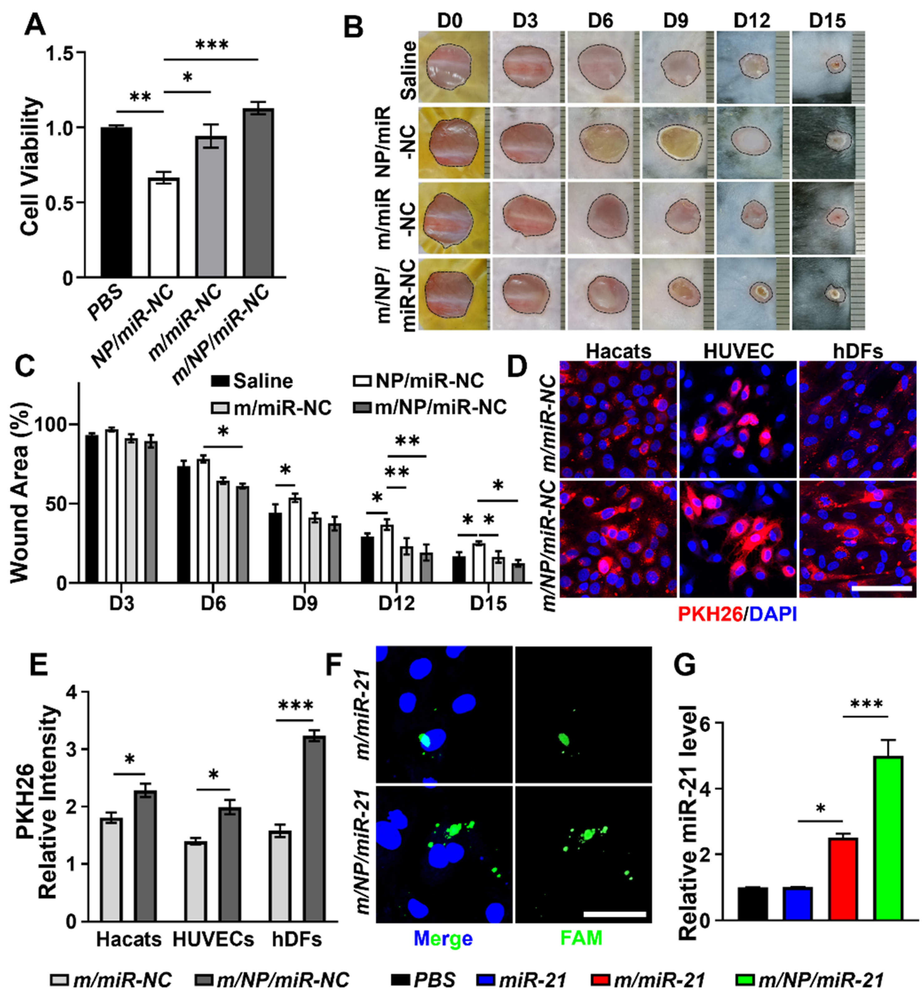 Pharmaceutics 16 01113 g002