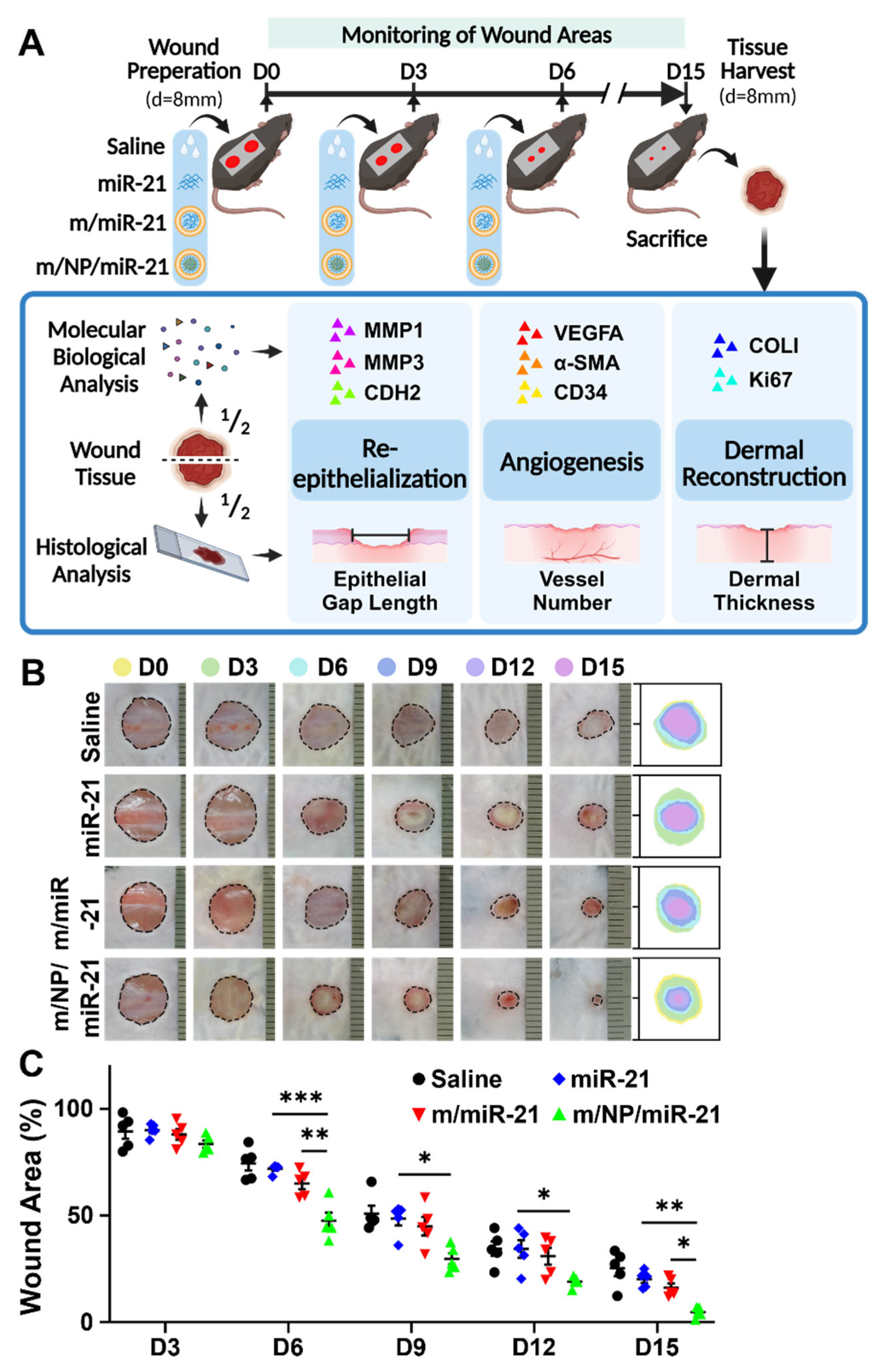 Pharmaceutics 16 01113 g003