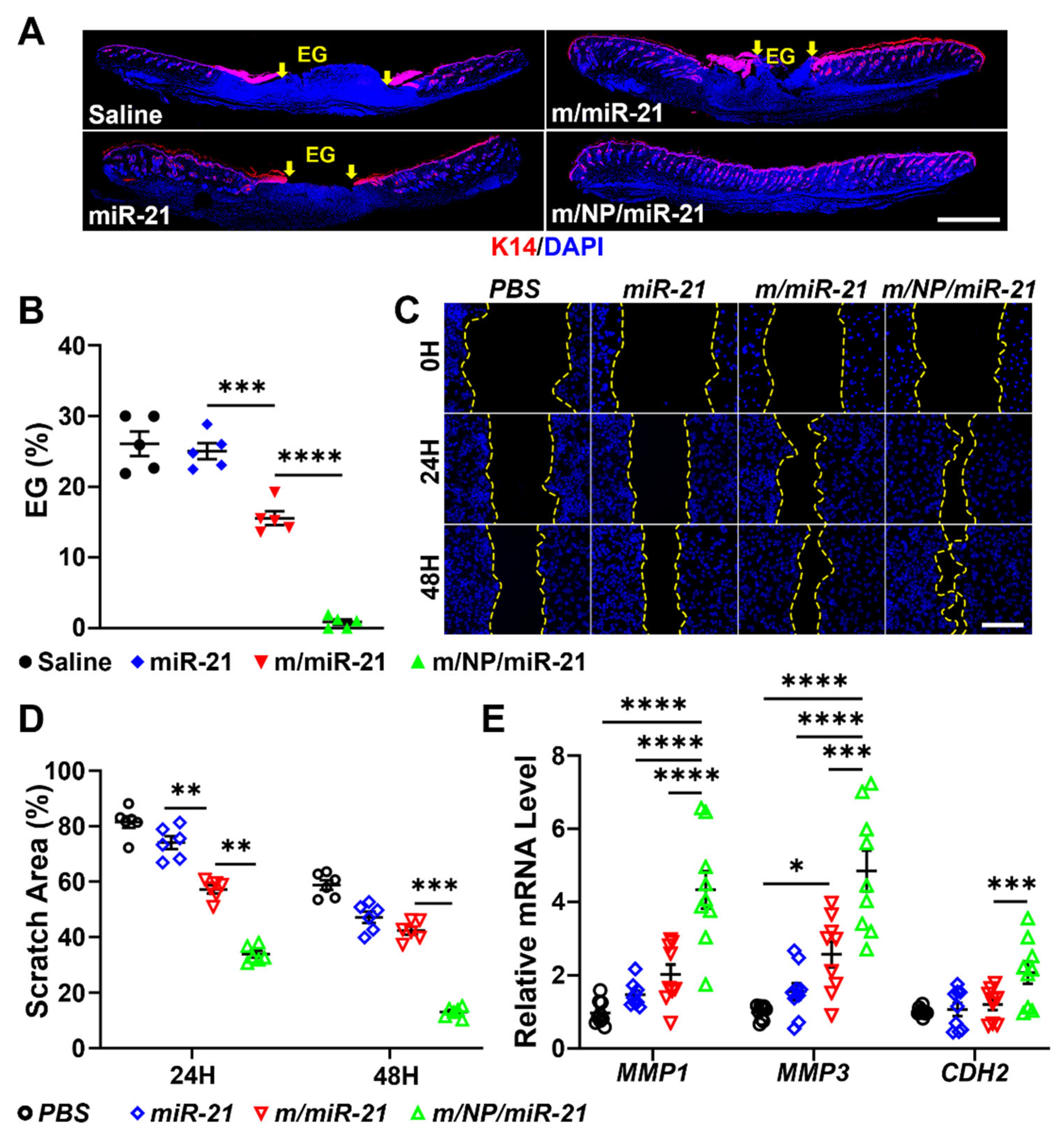 Pharmaceutics 16 01113 g004